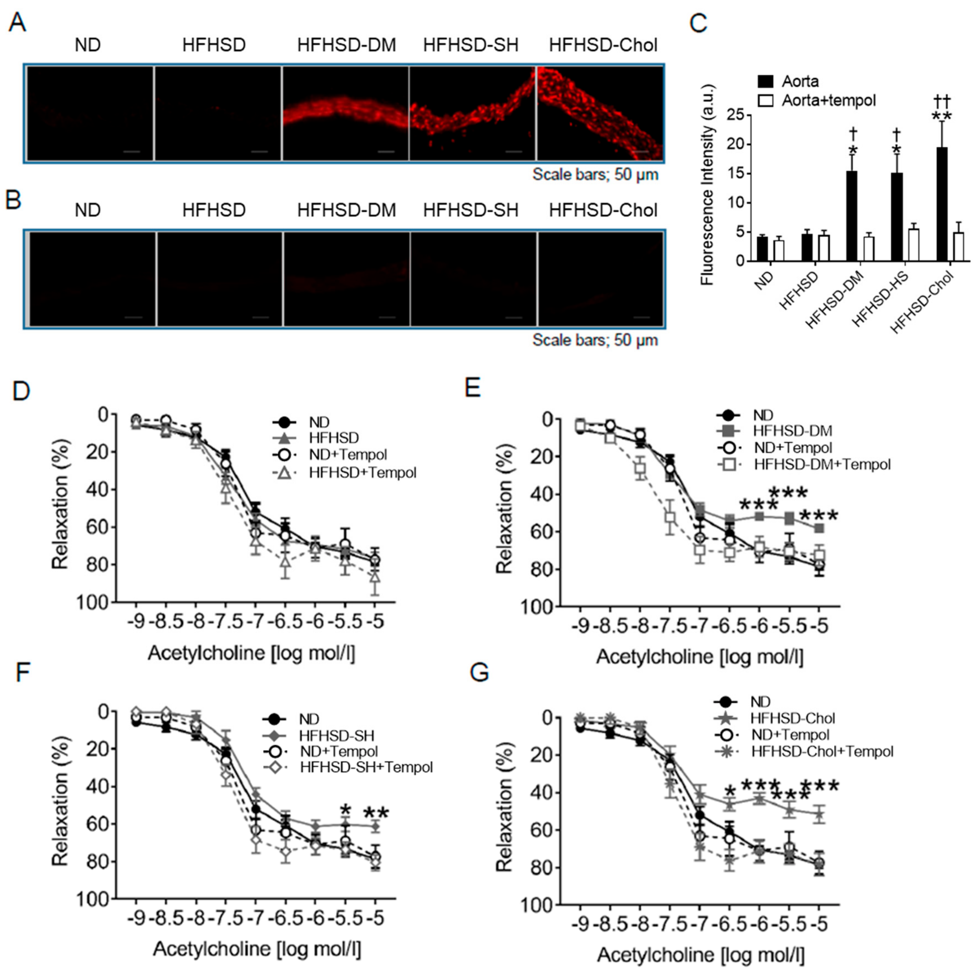Ijms 24 06486 g003 Ijms 24 06486 g003