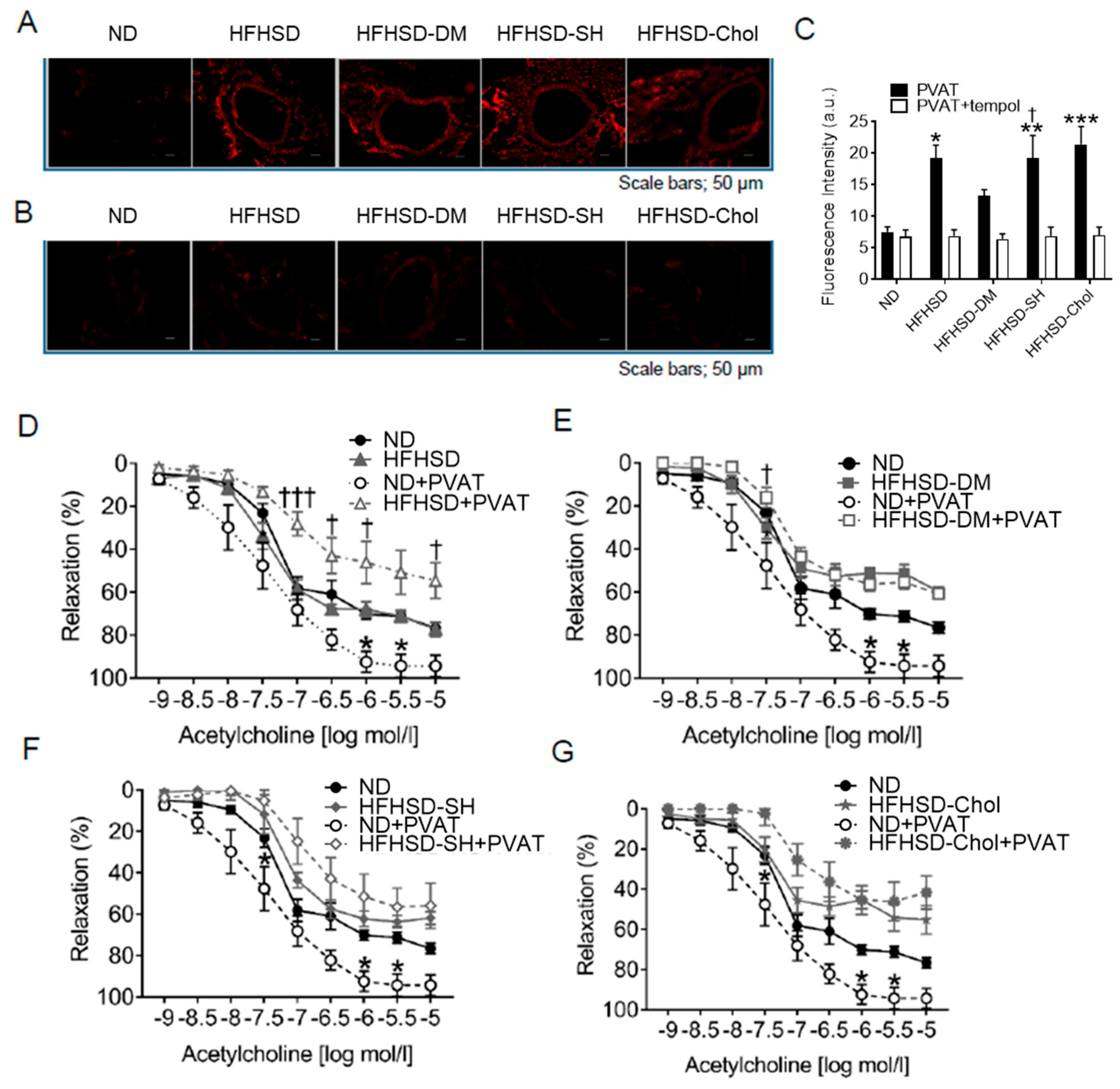 Ijms 24 06486 g004 Ijms 24 06486 g004