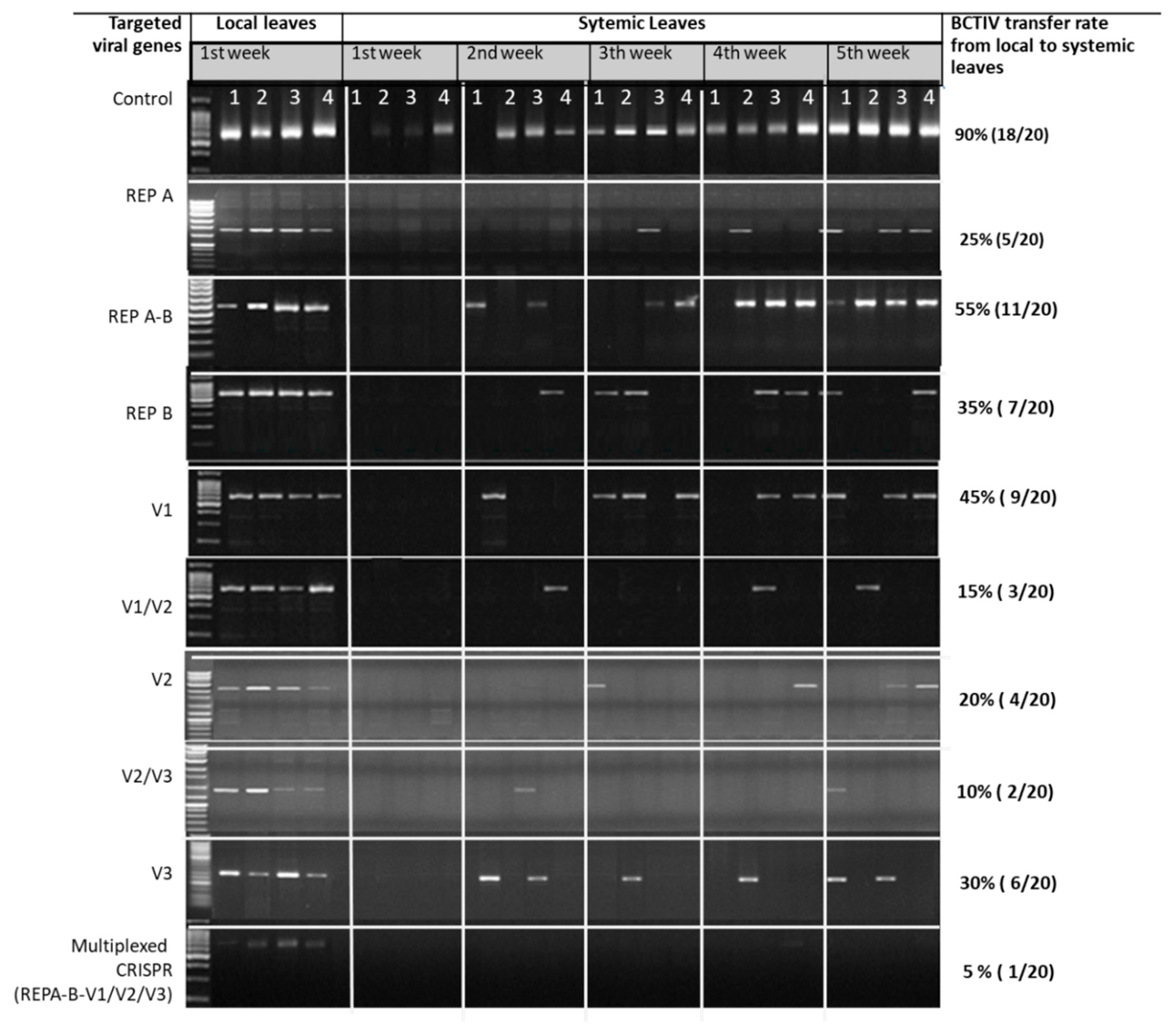 Ijms 24 06515 g002 Ijms 24 06515 g002