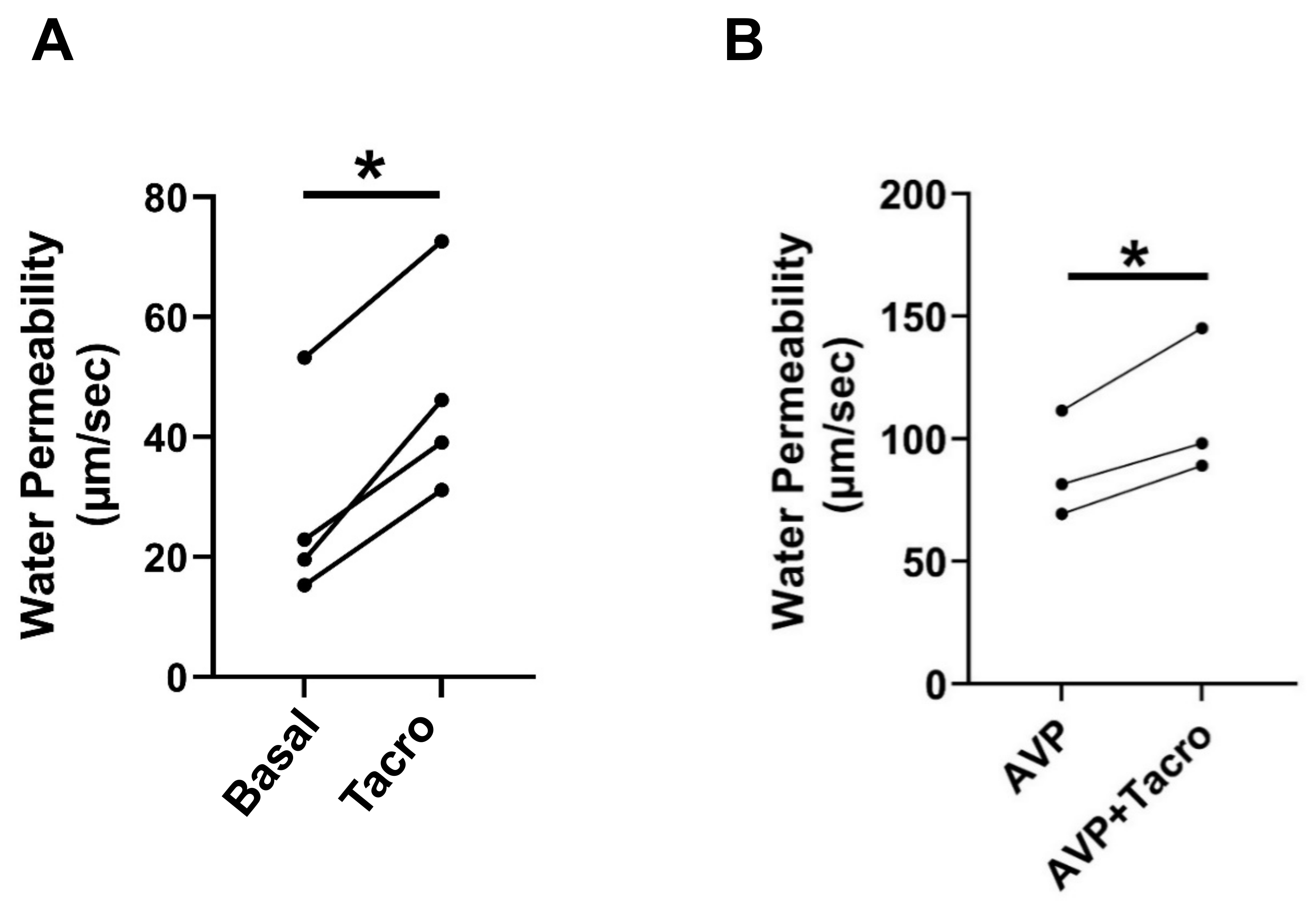 Ijms 24 06537 g001 Ijms 24 06537 g001