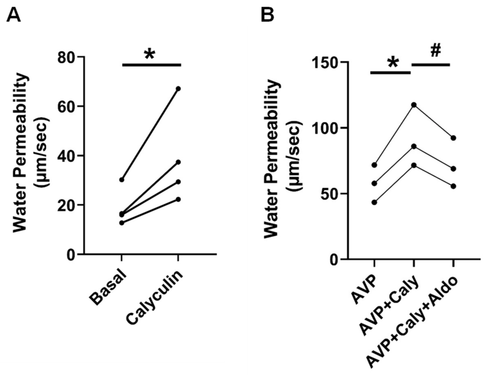 Ijms 24 06537 g003 Ijms 24 06537 g003