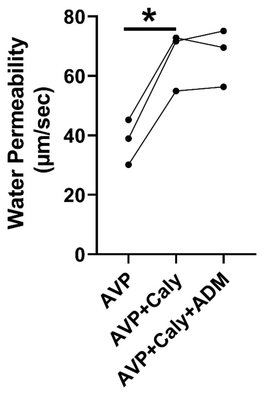 Ijms 24 06537 g005 Ijms 24 06537 g005
