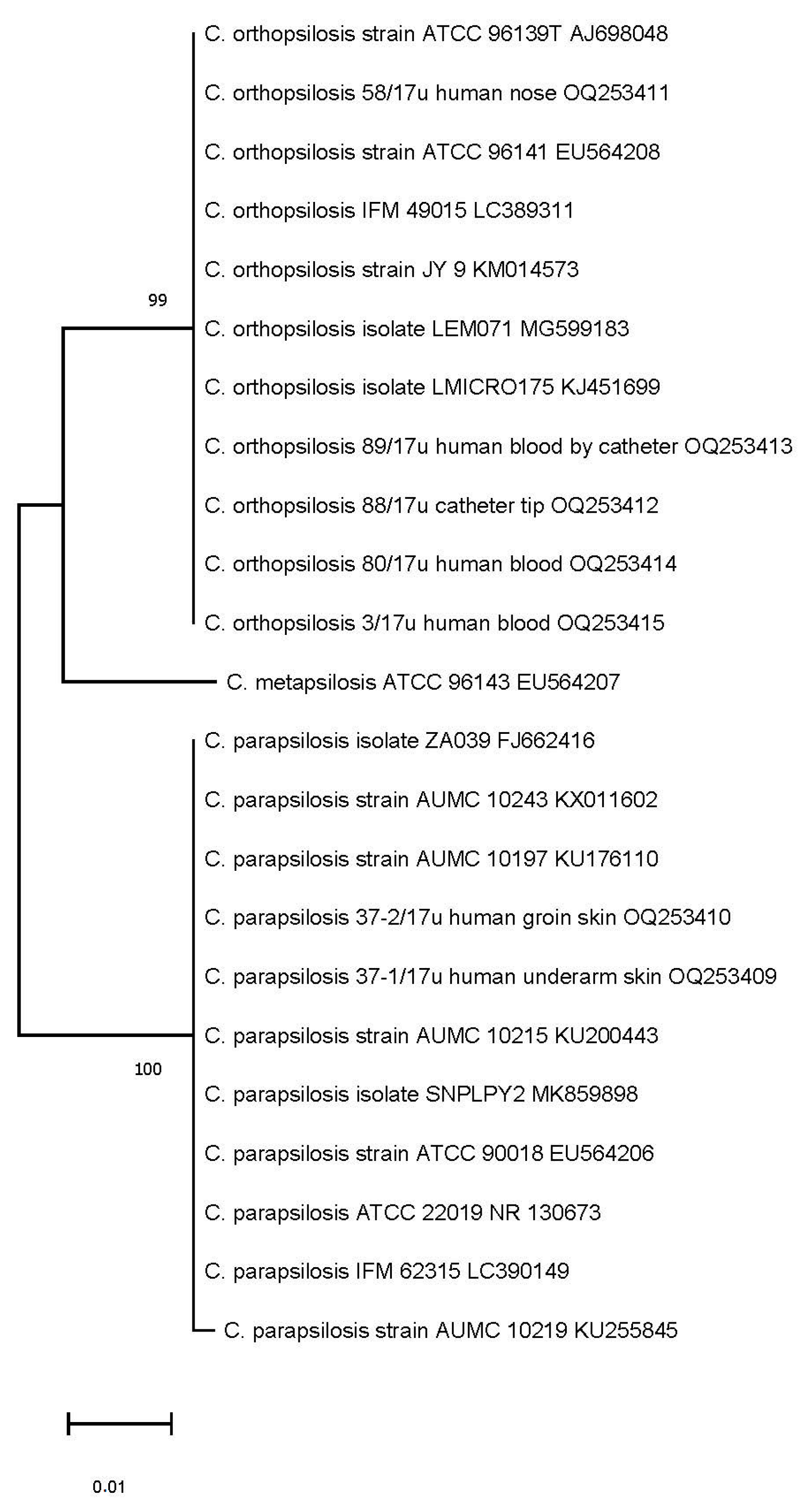 Ijms 24 06541 g003