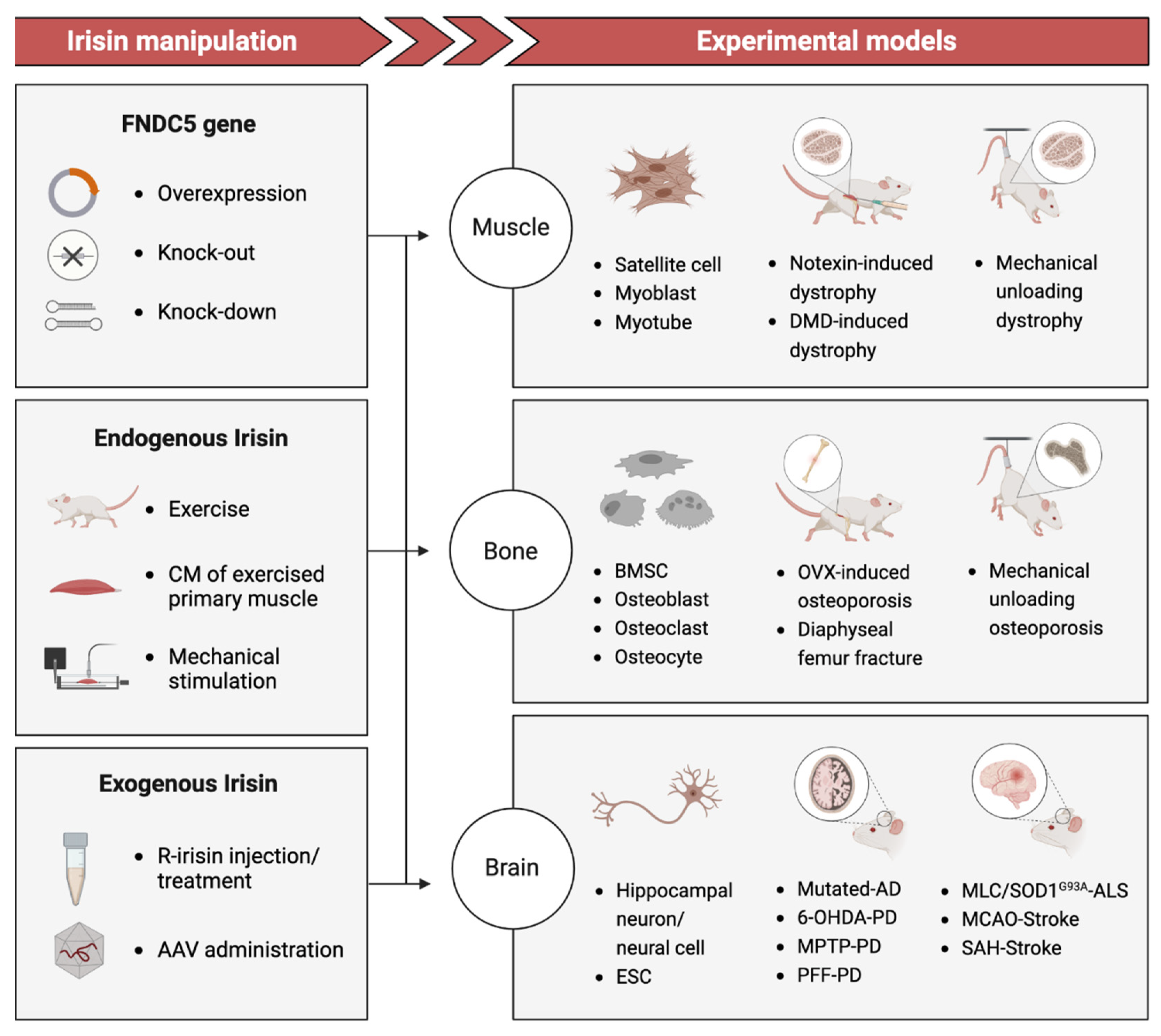 Ijms 24 06551 g001 Ijms 24 06551 g001