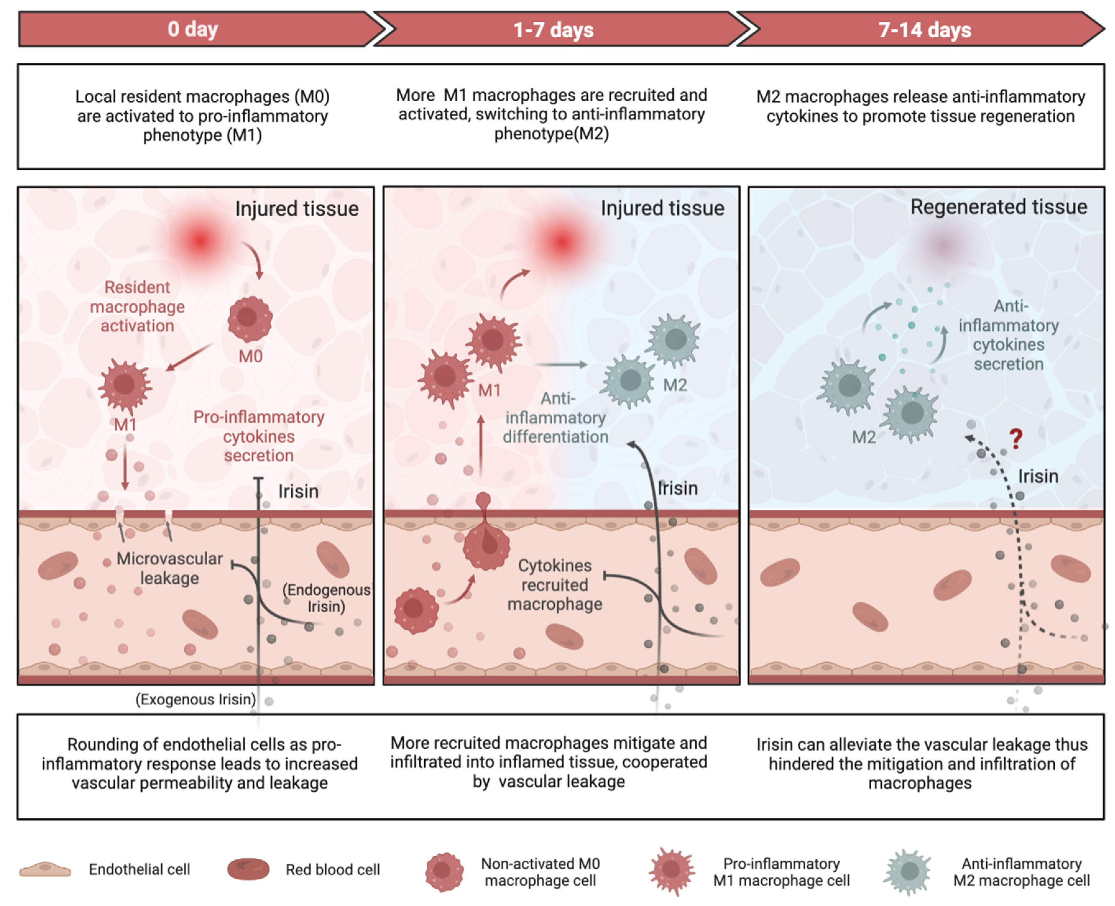 Ijms 24 06551 g002 Ijms 24 06551 g002