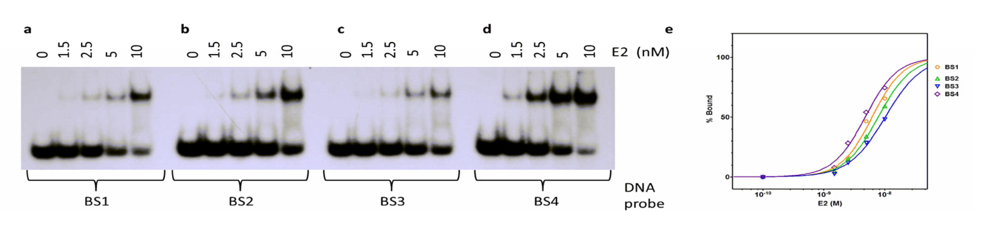 Ijms 24 06555 g003 Ijms 24 06555 g003