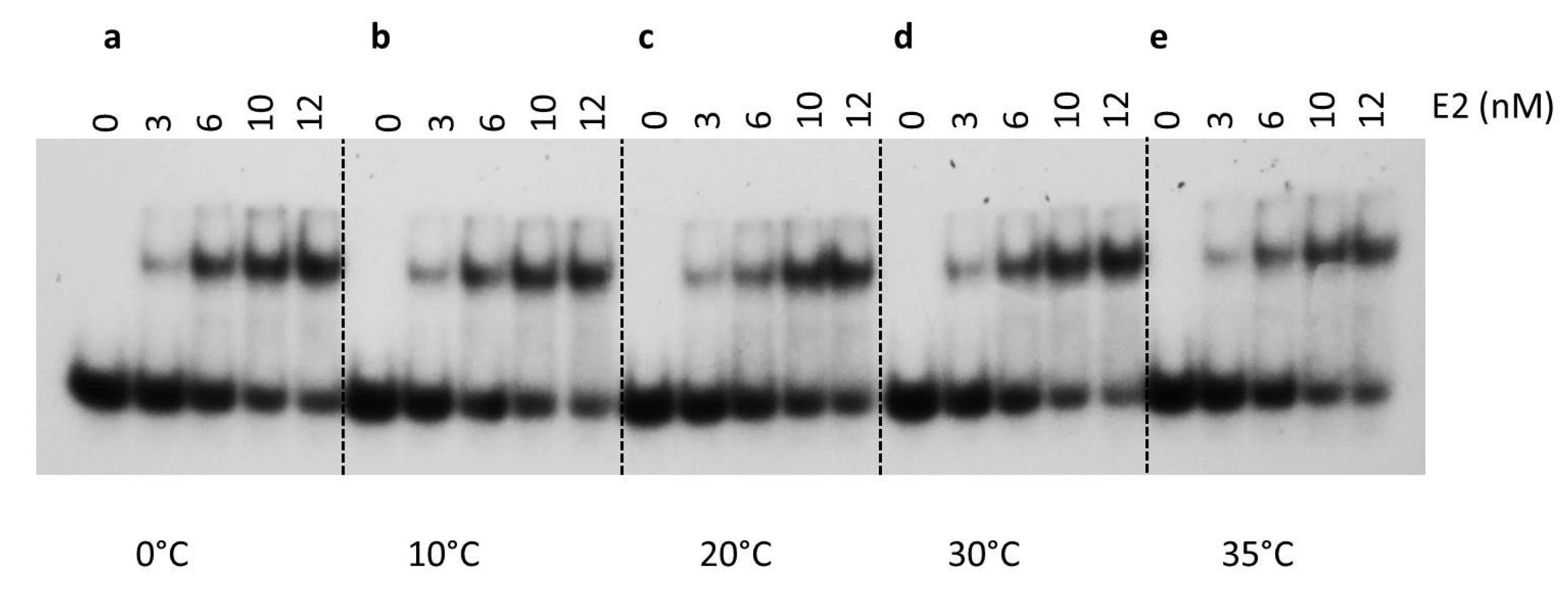Ijms 24 06555 g007 Ijms 24 06555 g007