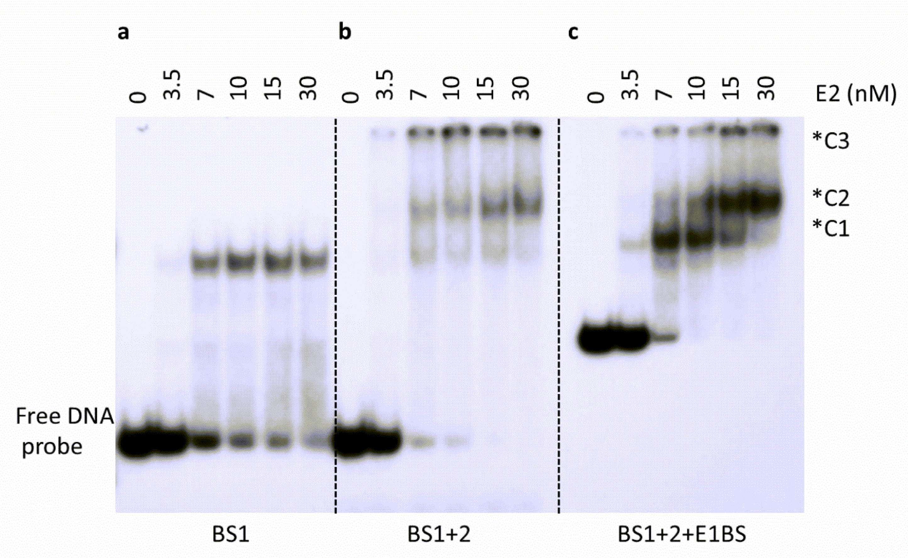 Ijms 24 06555 g008 Ijms 24 06555 g008