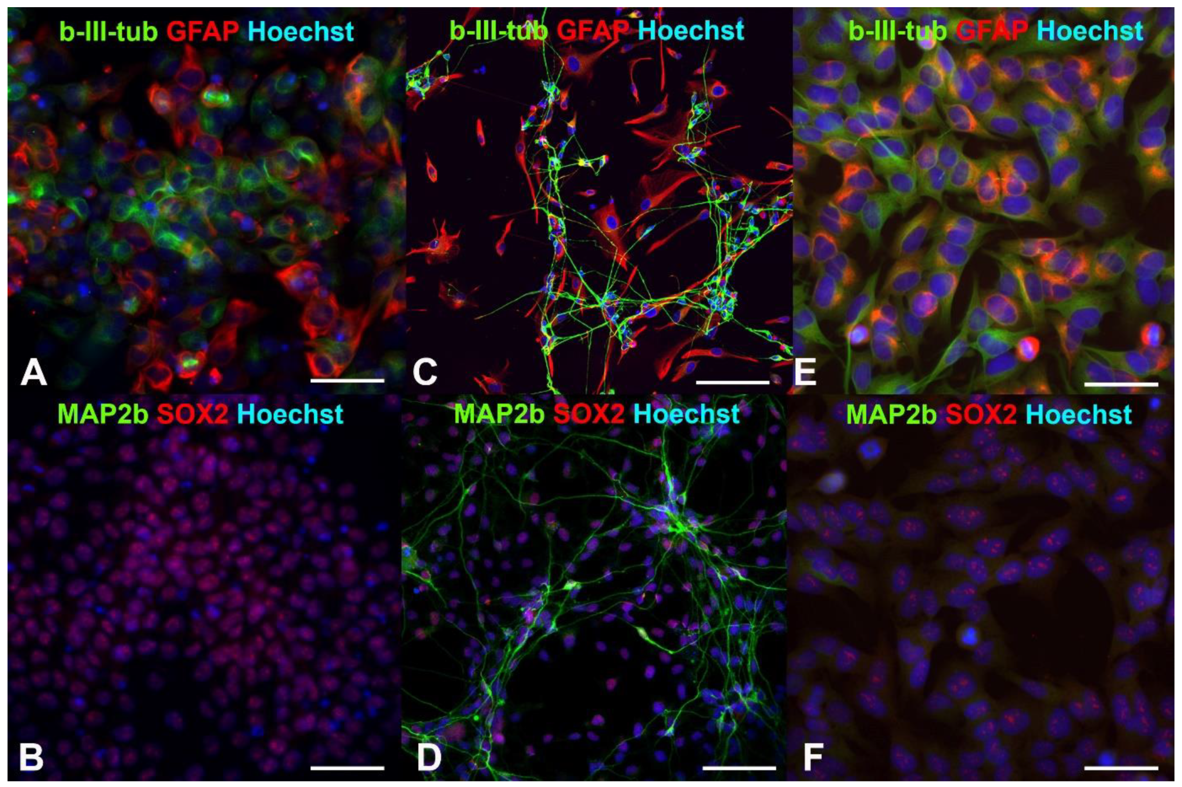 Ijms 24 06558 g001 Ijms 24 06558 g001