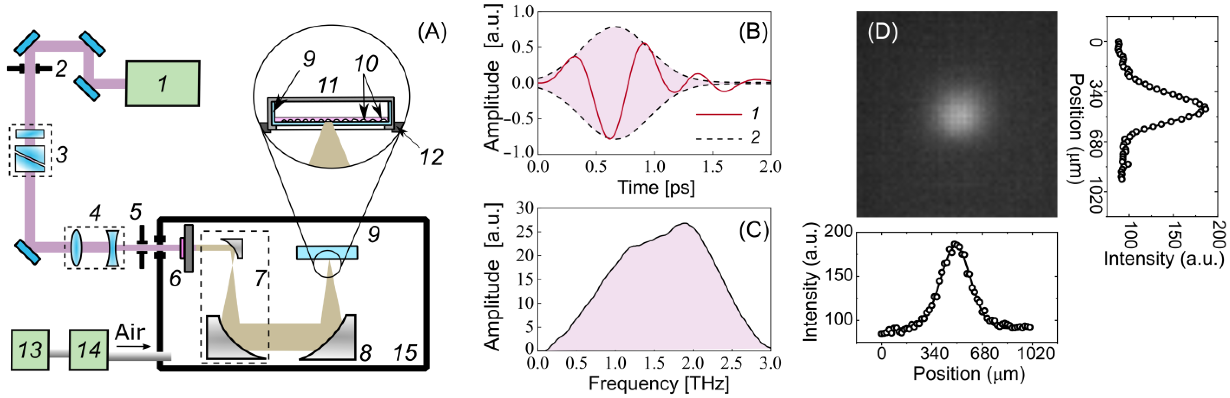 Ijms 24 06558 g005 Ijms 24 06558 g005
