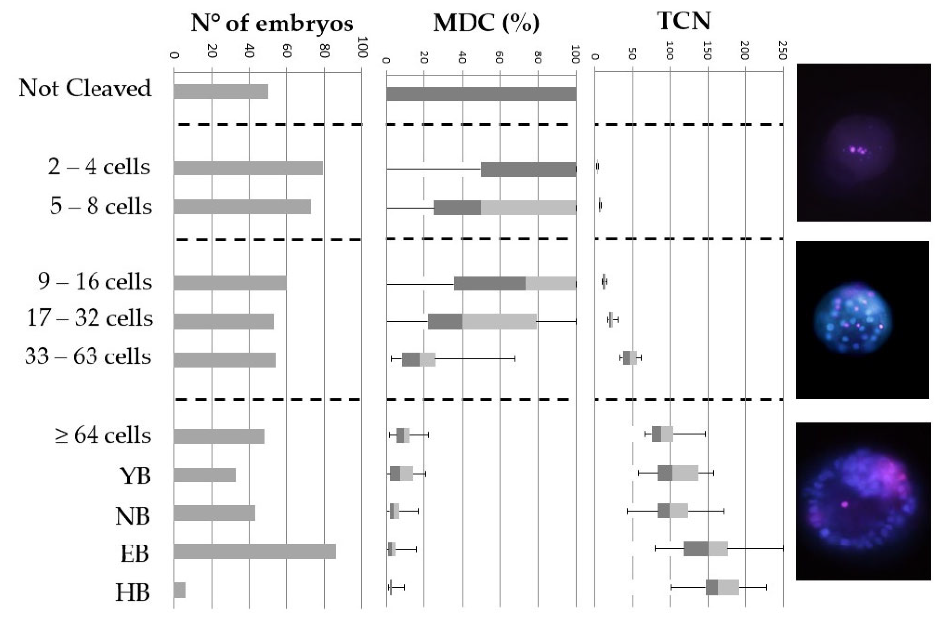 Ijms 24 06563 g001 Ijms 24 06563 g001