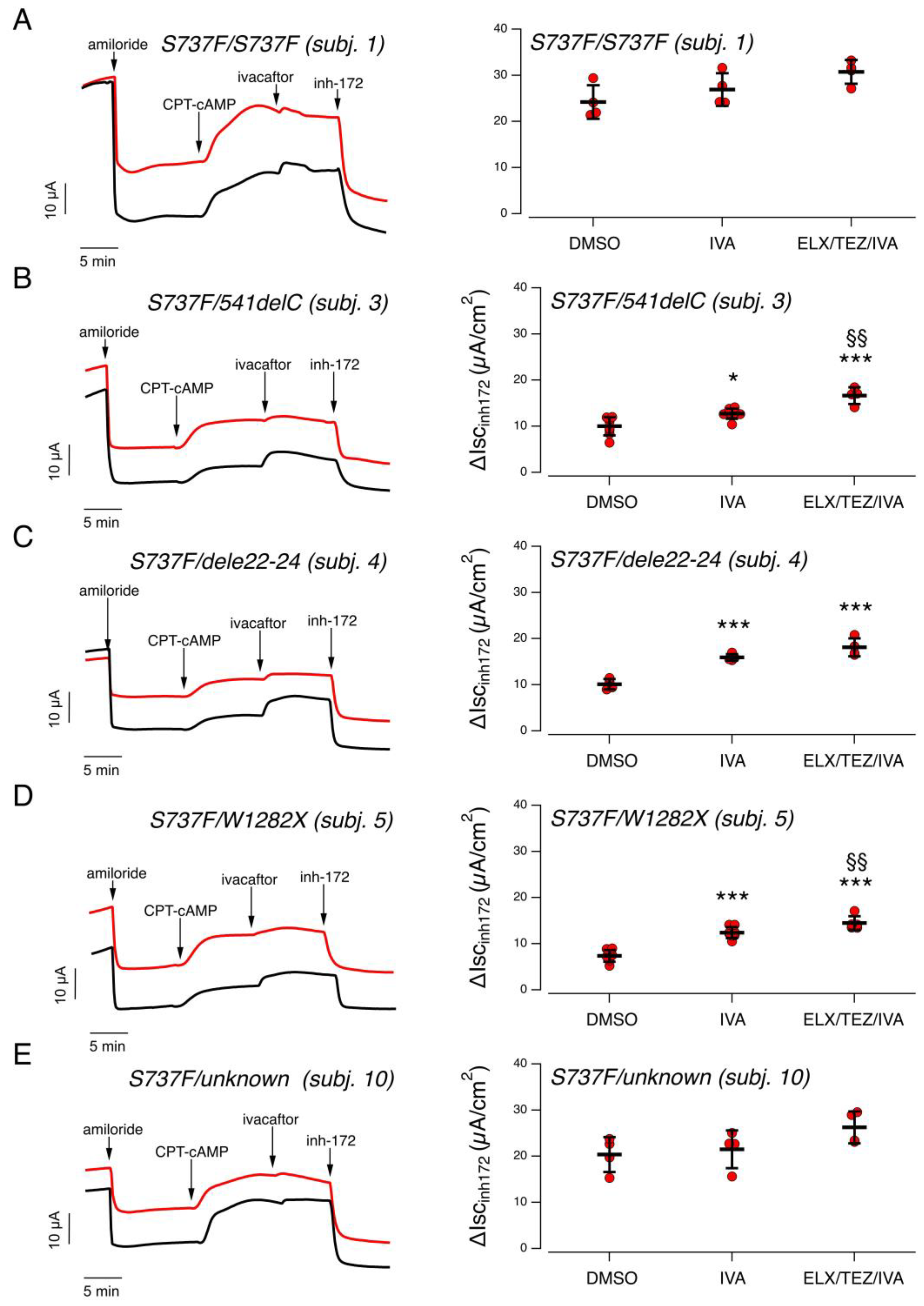 Ijms 24 06576 g001 Ijms 24 06576 g001