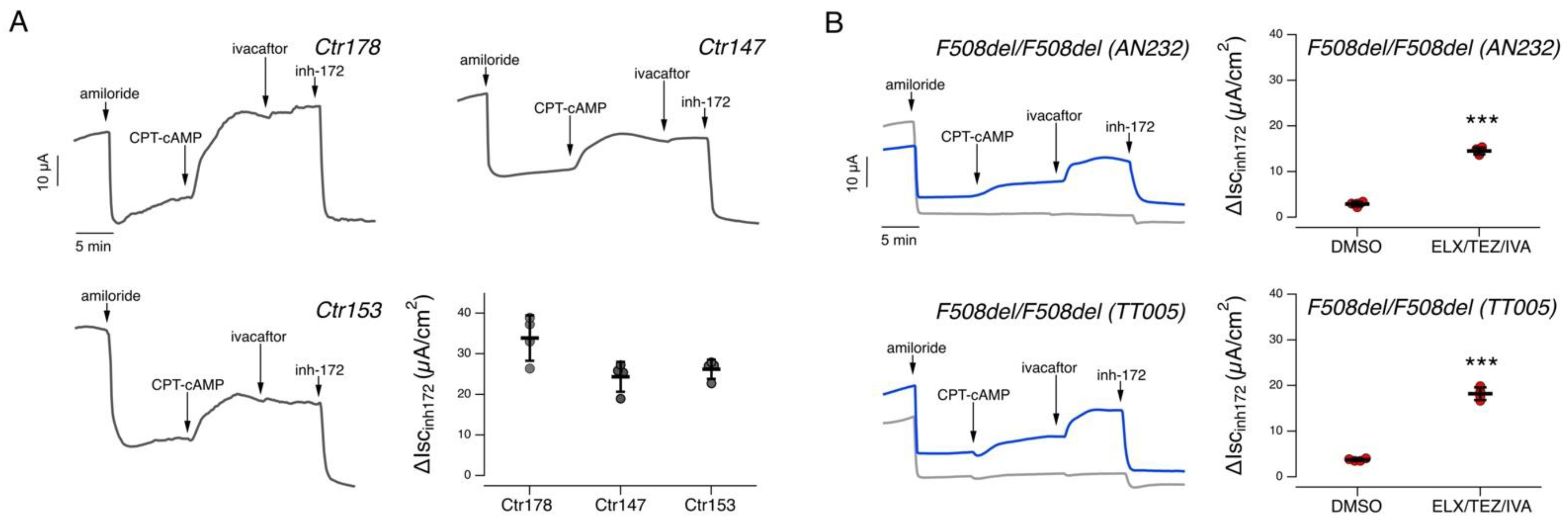 Ijms 24 06576 g002 Ijms 24 06576 g002