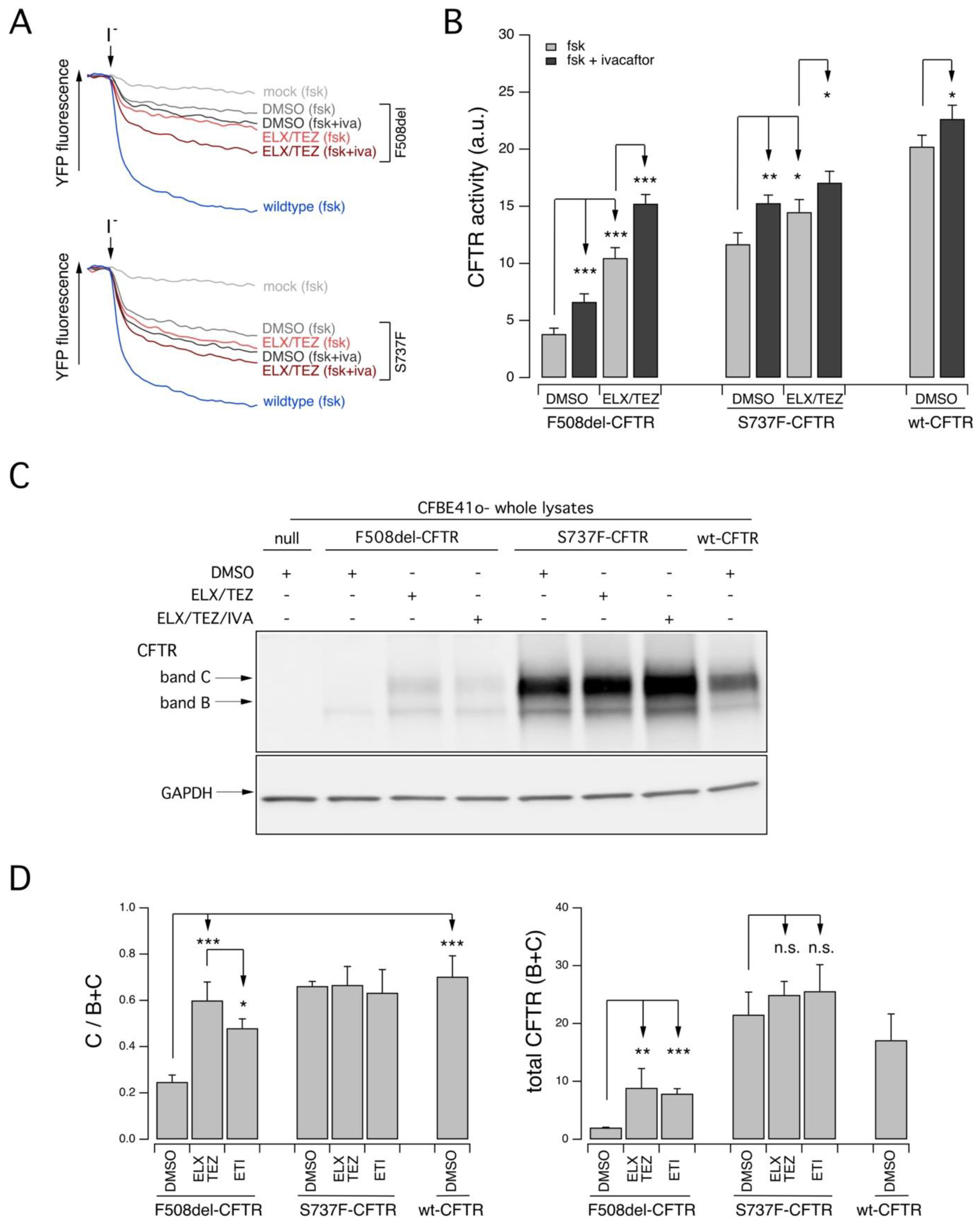 Ijms 24 06576 g003 Ijms 24 06576 g003