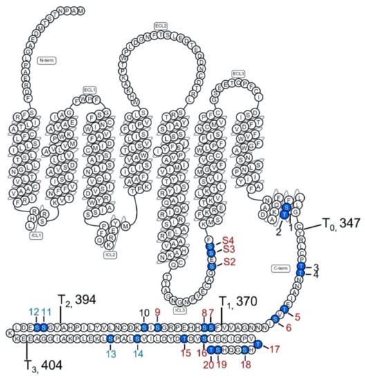 Ijms 24 06599 g001