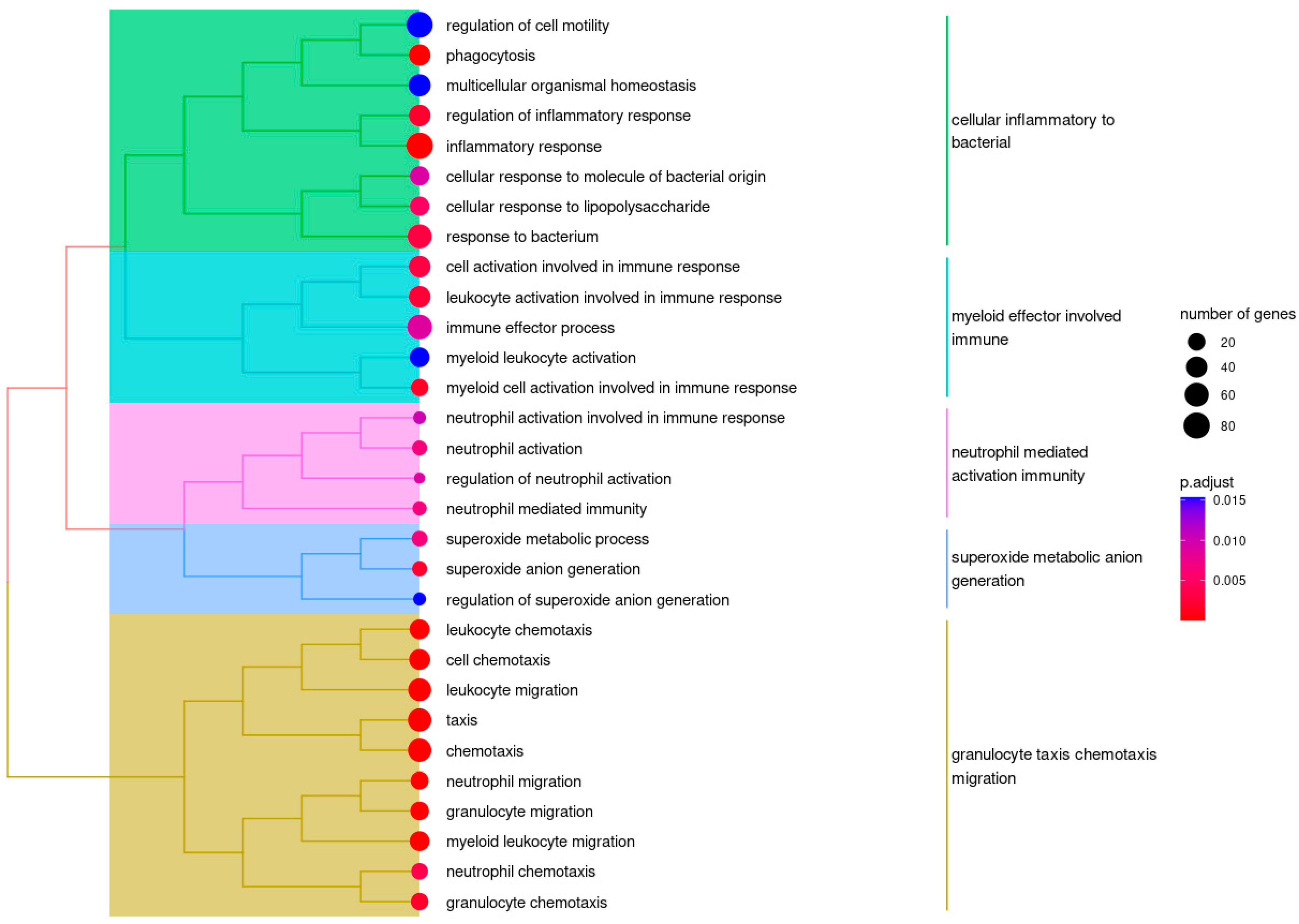 Ijms 24 06601 g001 Ijms 24 06601 g001