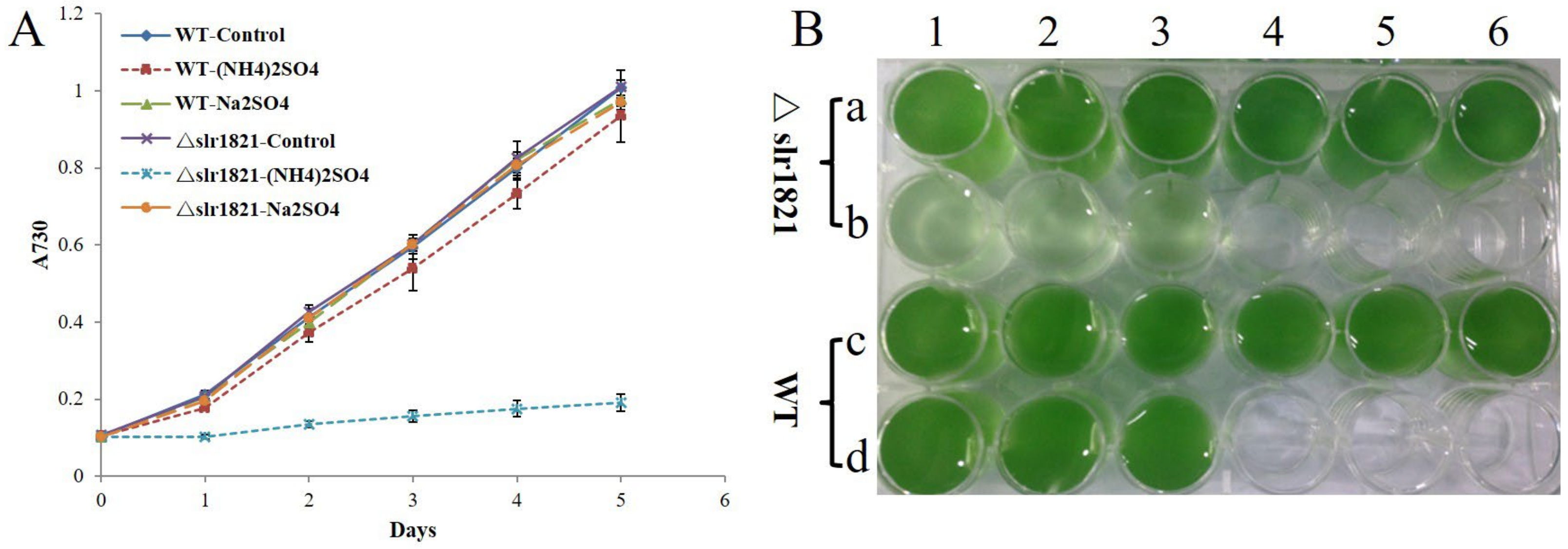 Ijms 24 06606 g001 Ijms 24 06606 g001