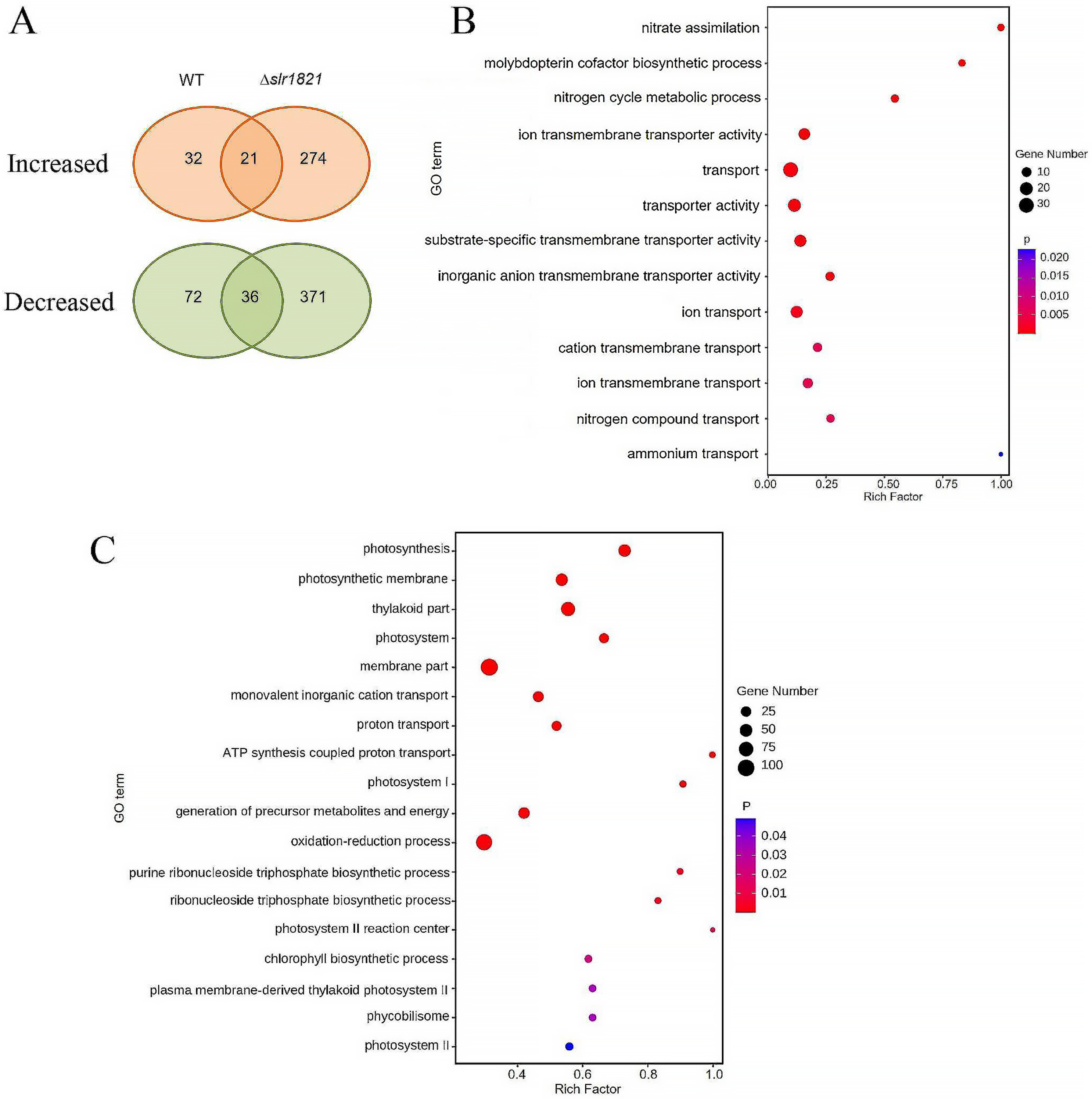 Ijms 24 06606 g003 Ijms 24 06606 g003