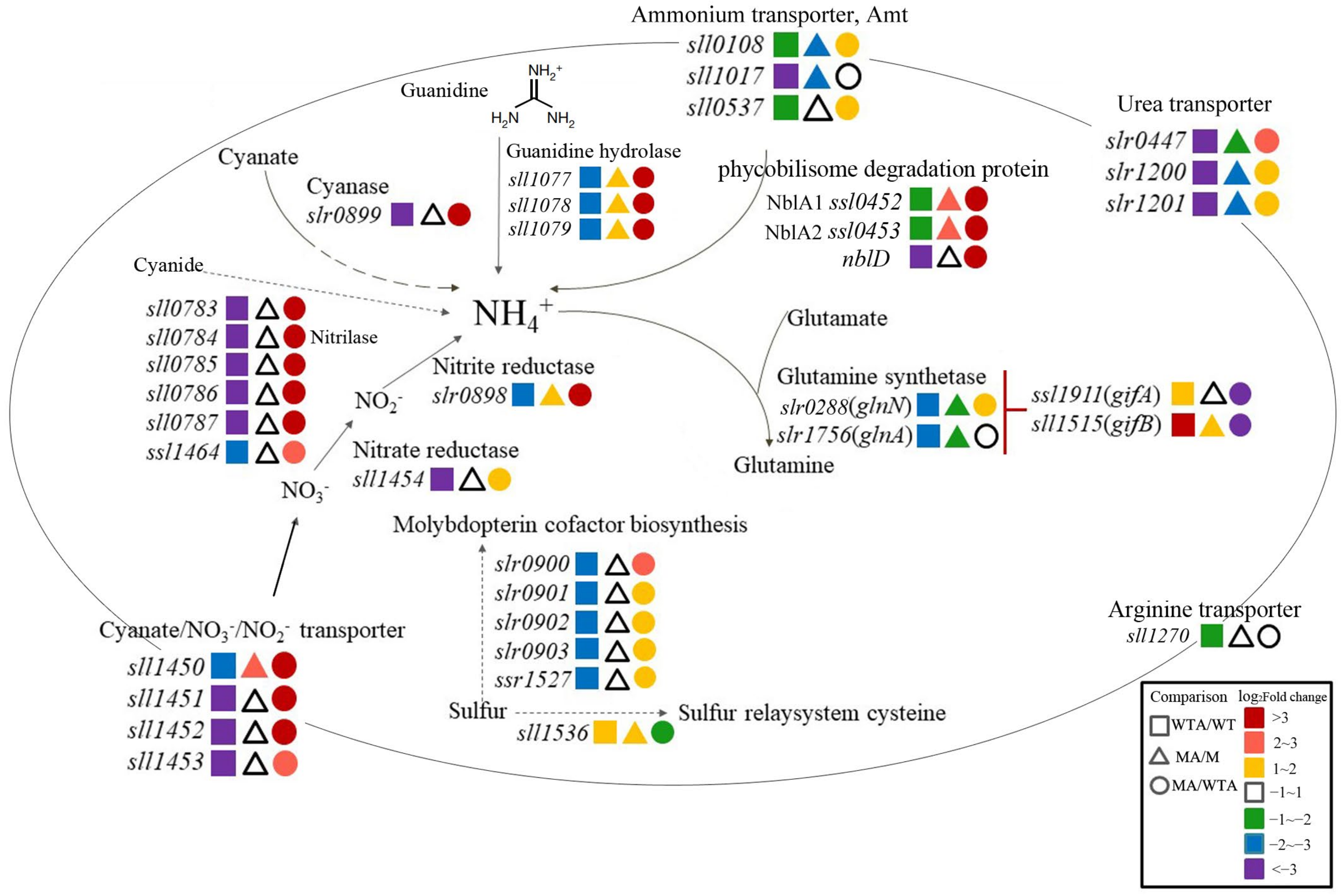 Ijms 24 06606 g004 Ijms 24 06606 g004