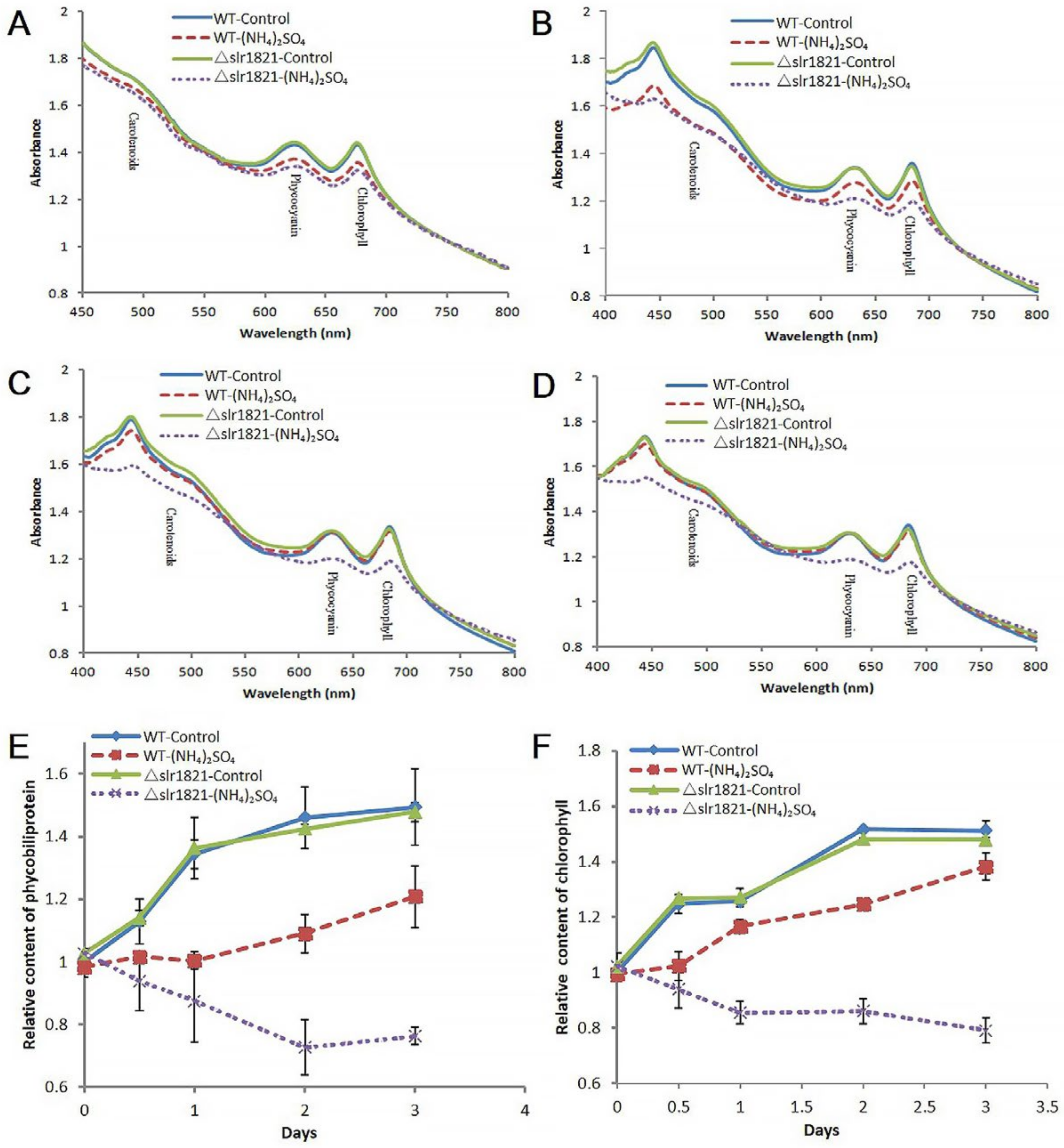 Ijms 24 06606 g006 Ijms 24 06606 g006