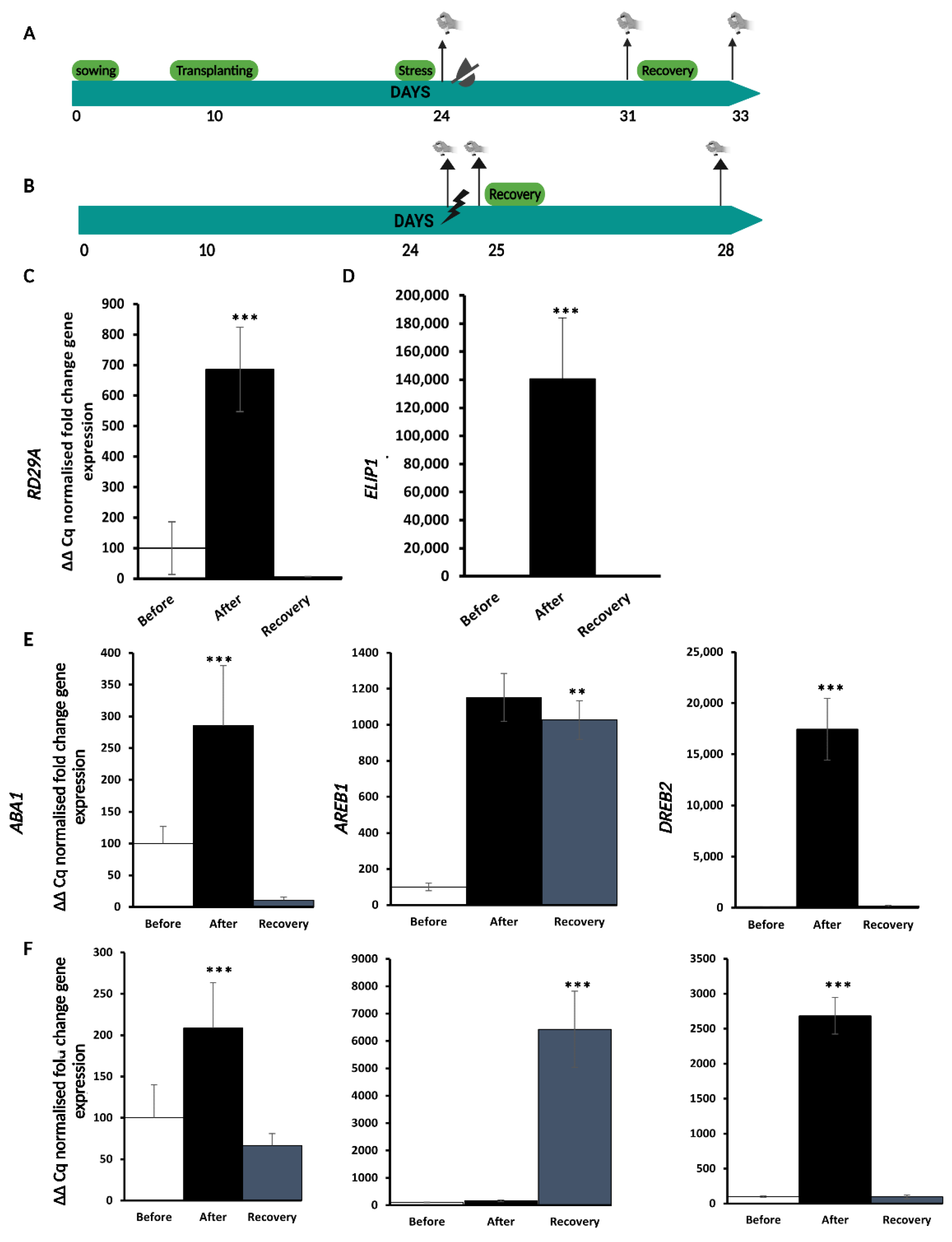 Ijms 24 06608 g001 Ijms 24 06608 g001