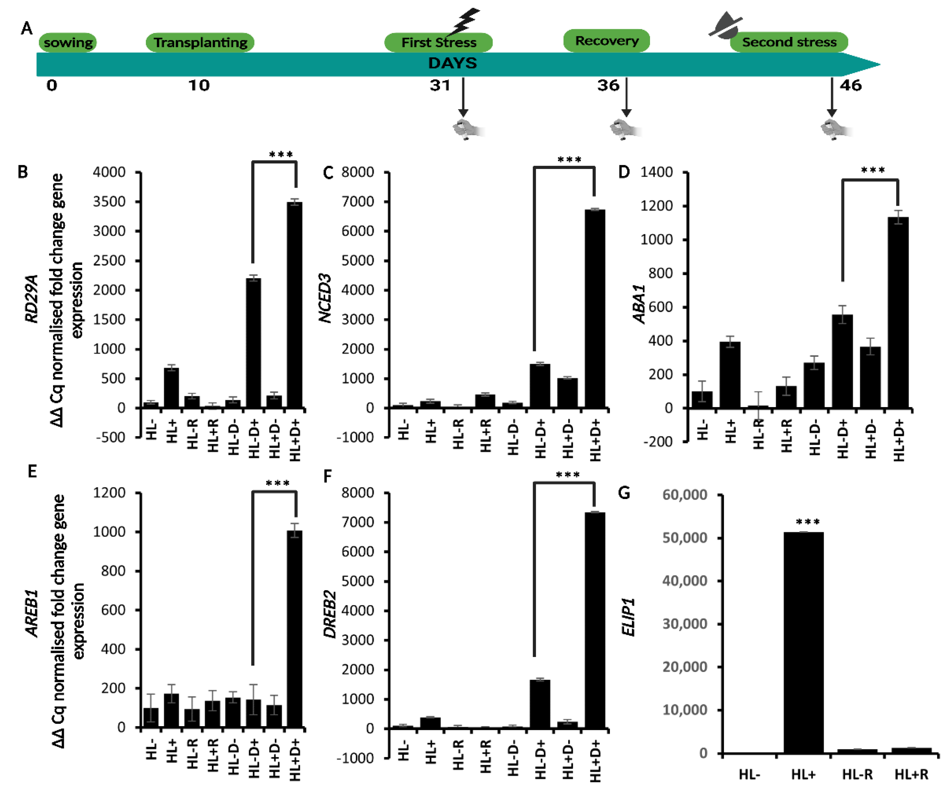 Ijms 24 06608 g003 Ijms 24 06608 g003