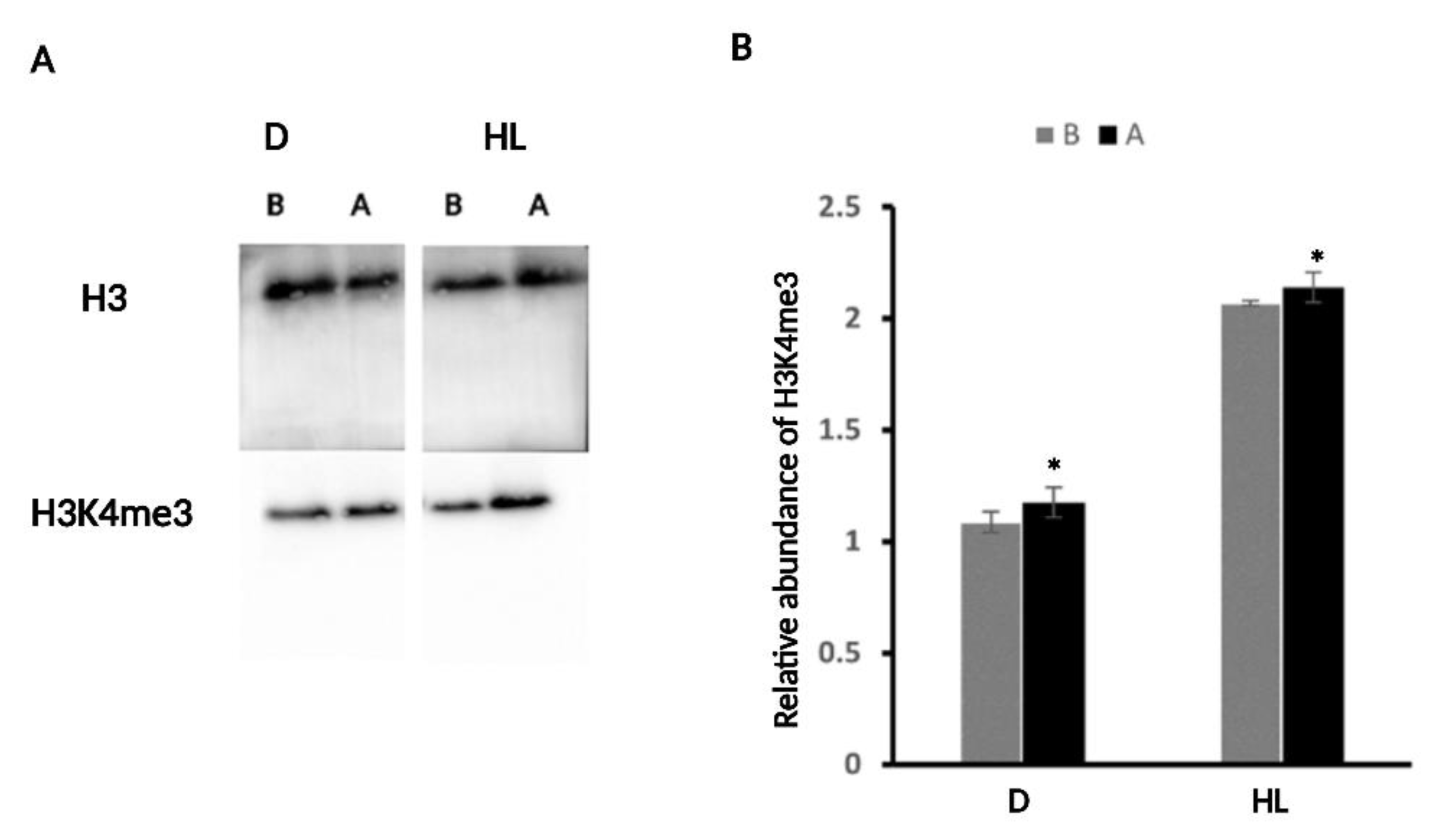 Ijms 24 06608 g008 Ijms 24 06608 g008