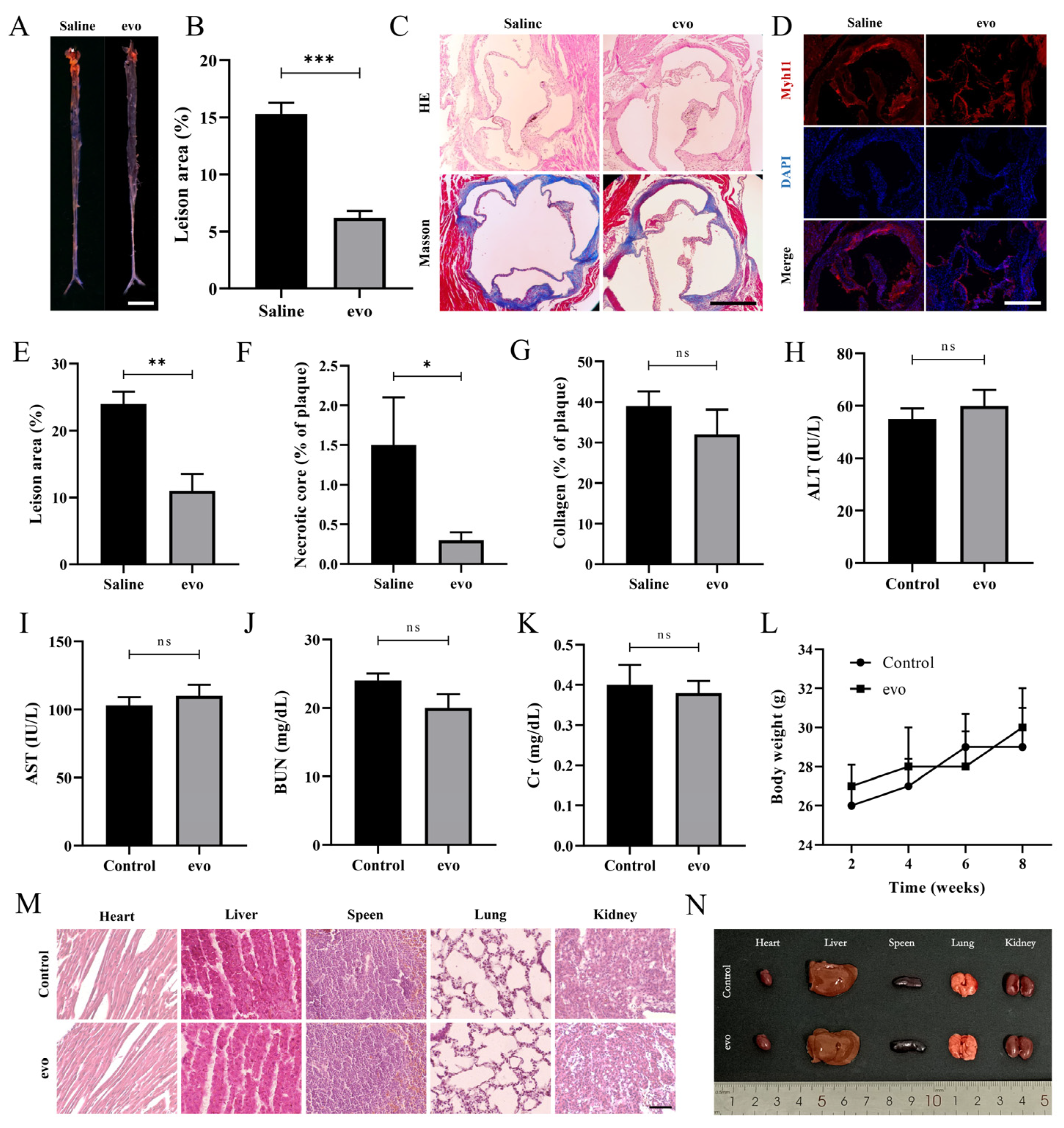 Ijms 24 06653 g001 Ijms 24 06653 g001