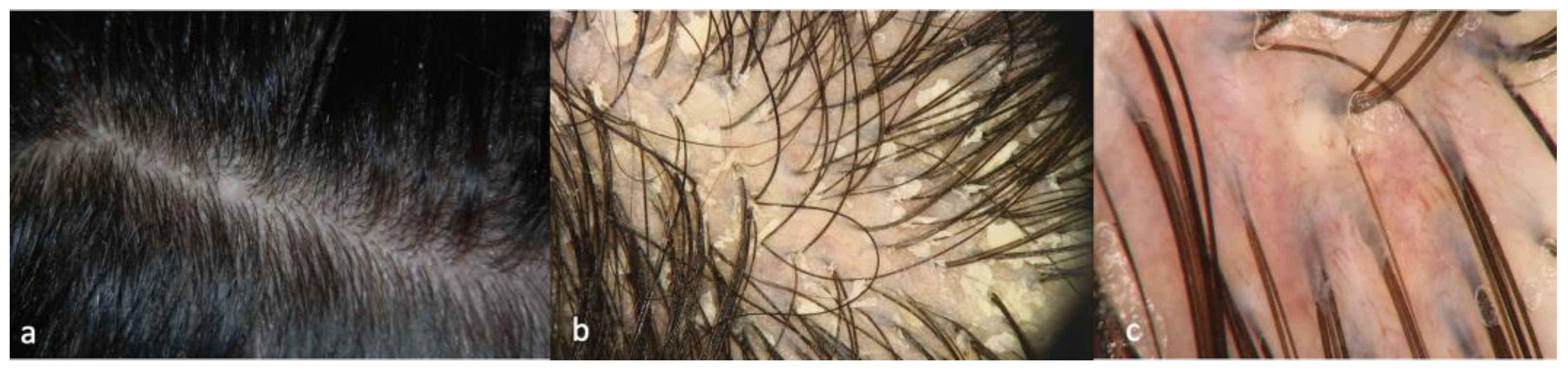 Ijms 24 06678 g001 Ijms 24 06678 g001