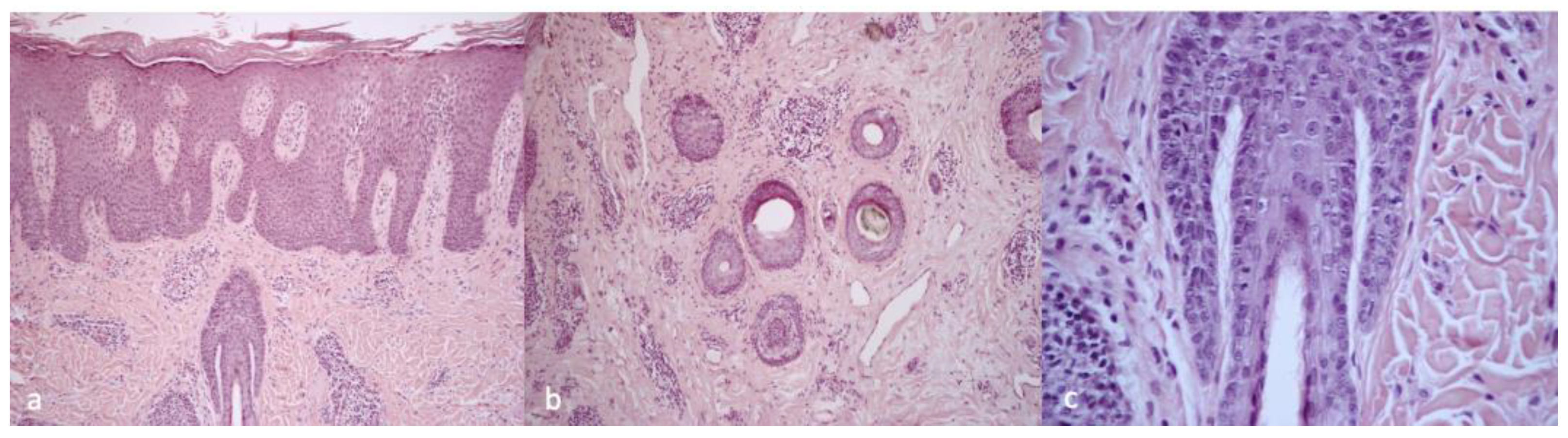 Ijms 24 06678 g002 Ijms 24 06678 g002