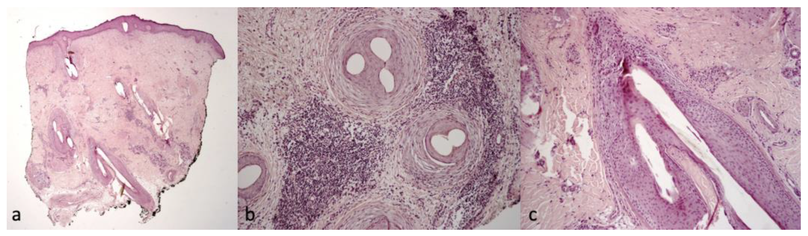 Ijms 24 06678 g005 Ijms 24 06678 g005