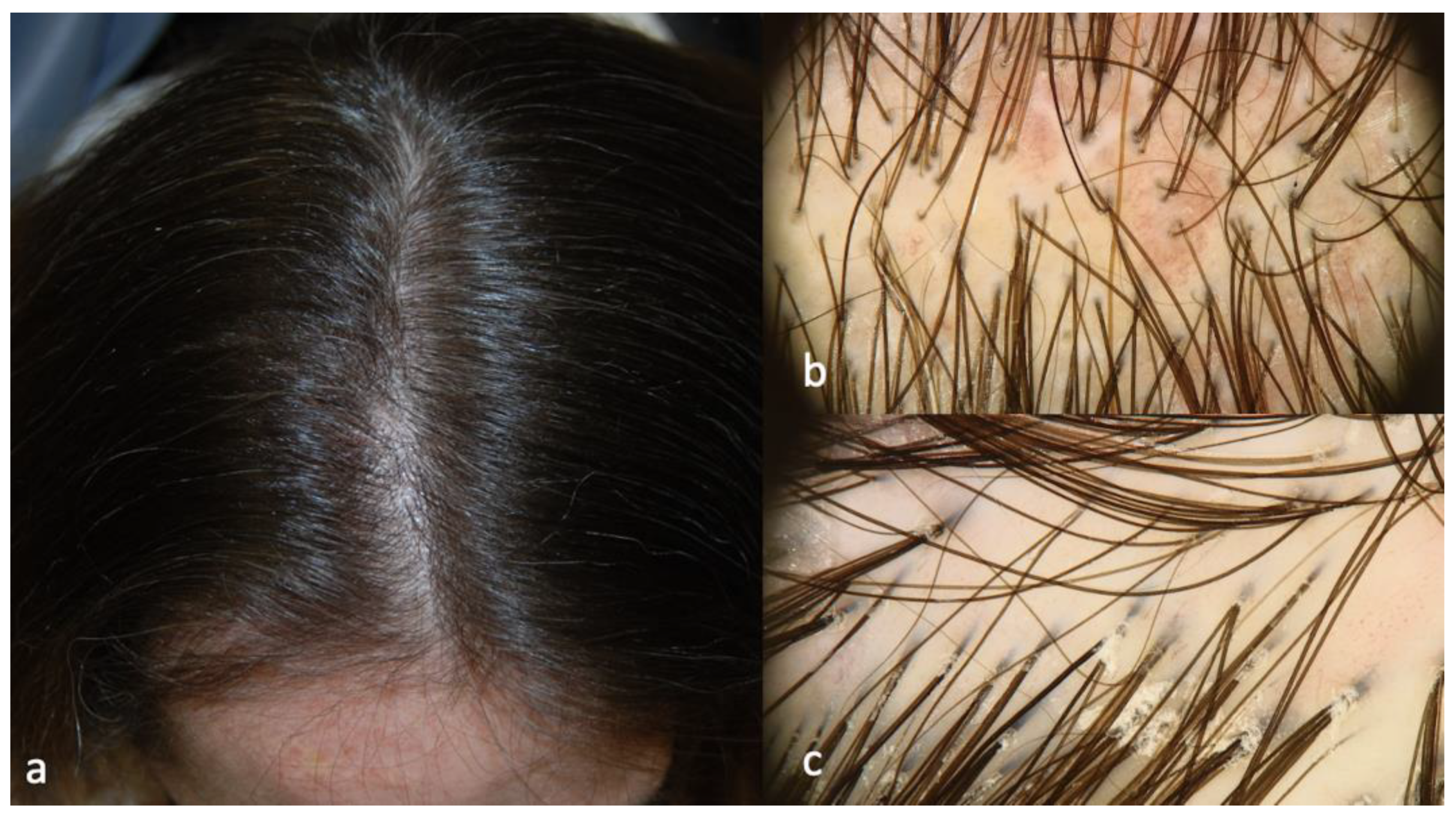 Ijms 24 06678 g006 Ijms 24 06678 g006