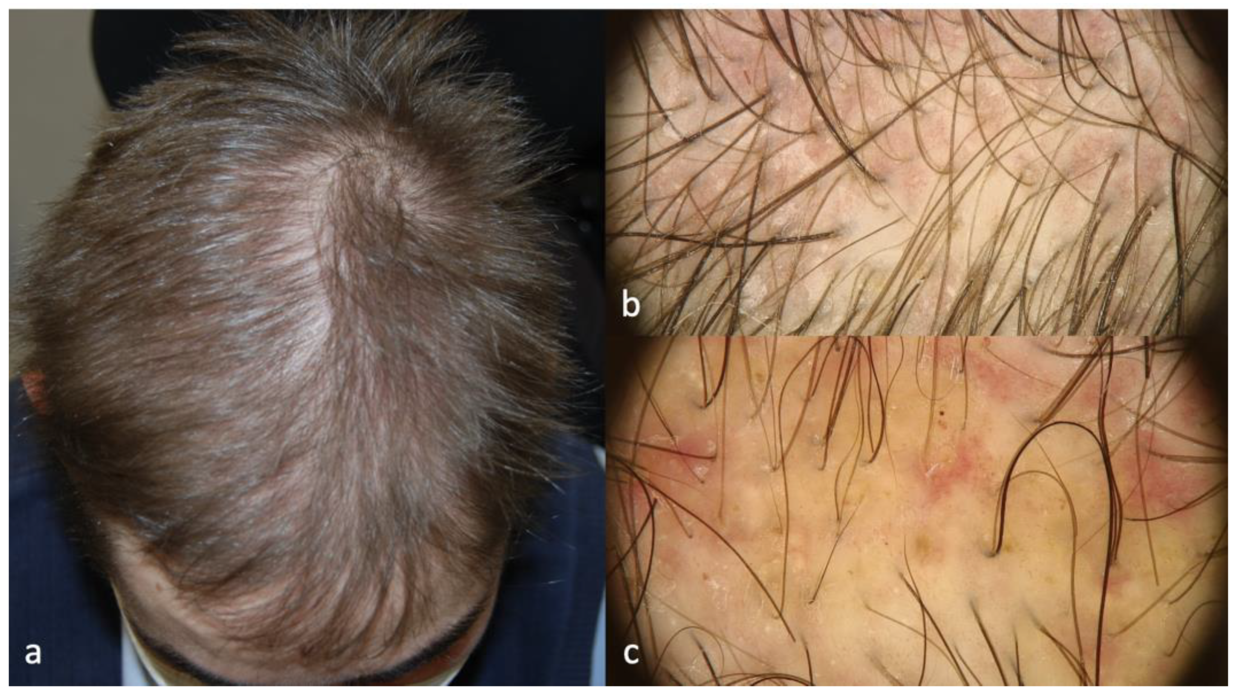 Ijms 24 06678 g007 Ijms 24 06678 g007