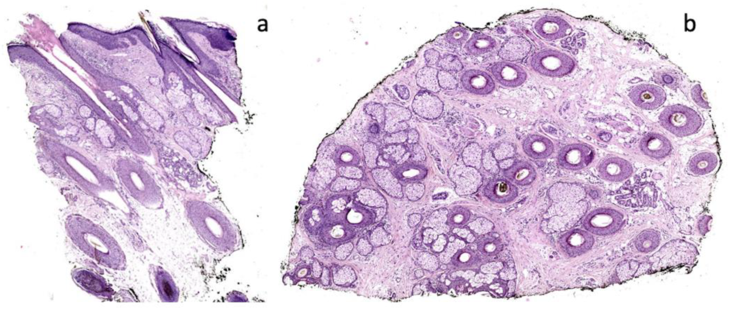 Ijms 24 06678 g008 Ijms 24 06678 g008