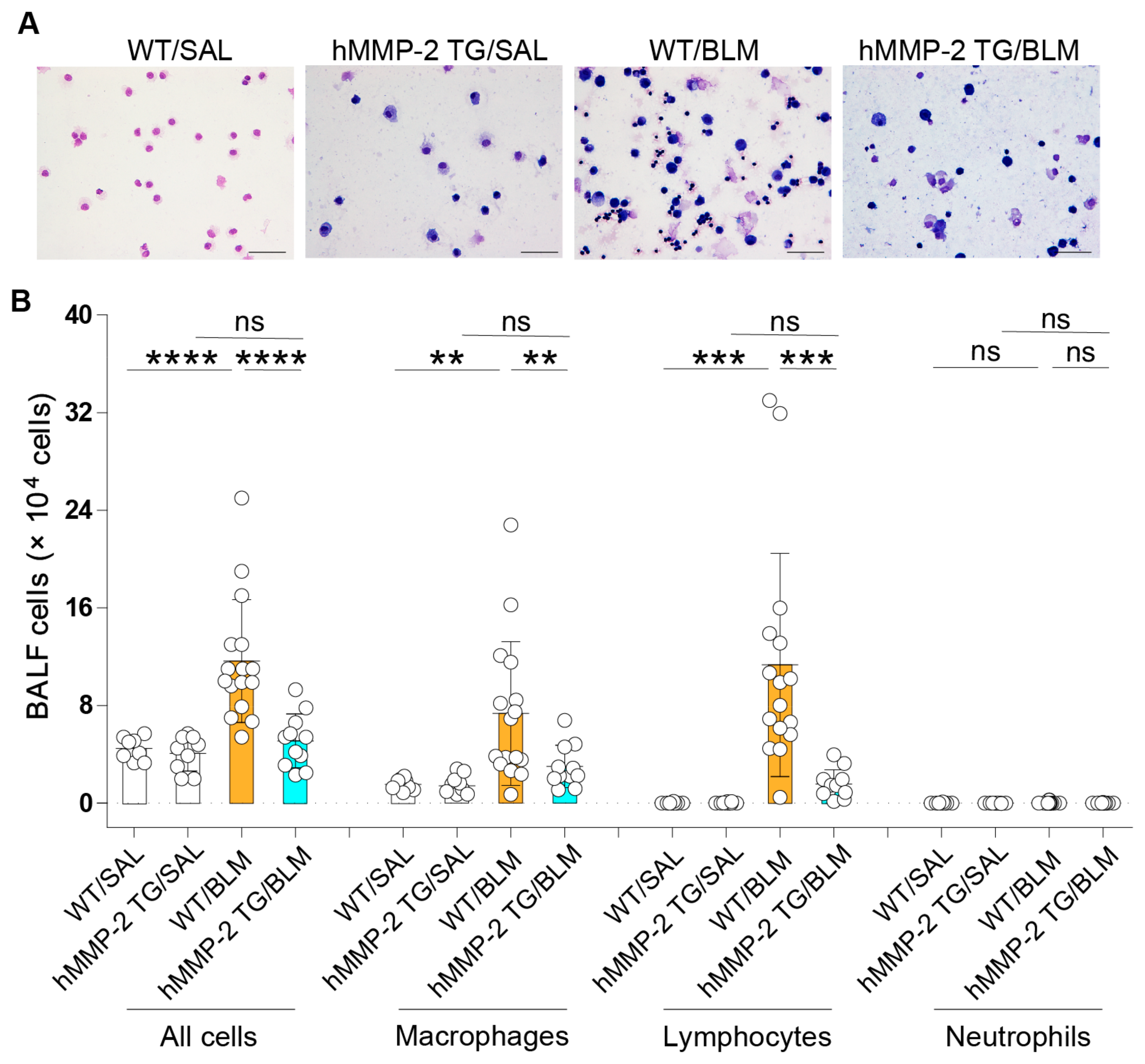 Ijms 24 06695 g001 Ijms 24 06695 g001
