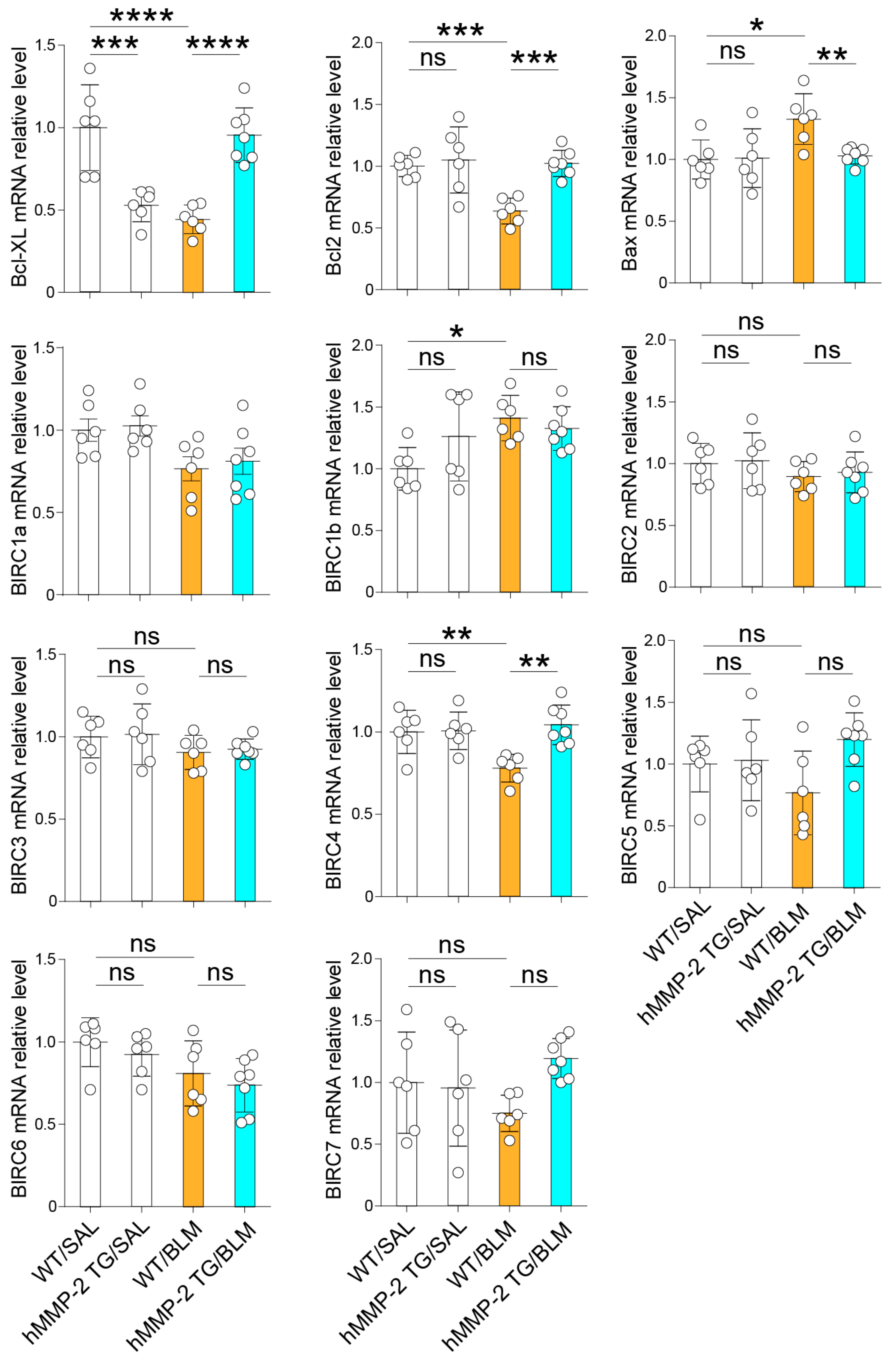Ijms 24 06695 g007 Ijms 24 06695 g007