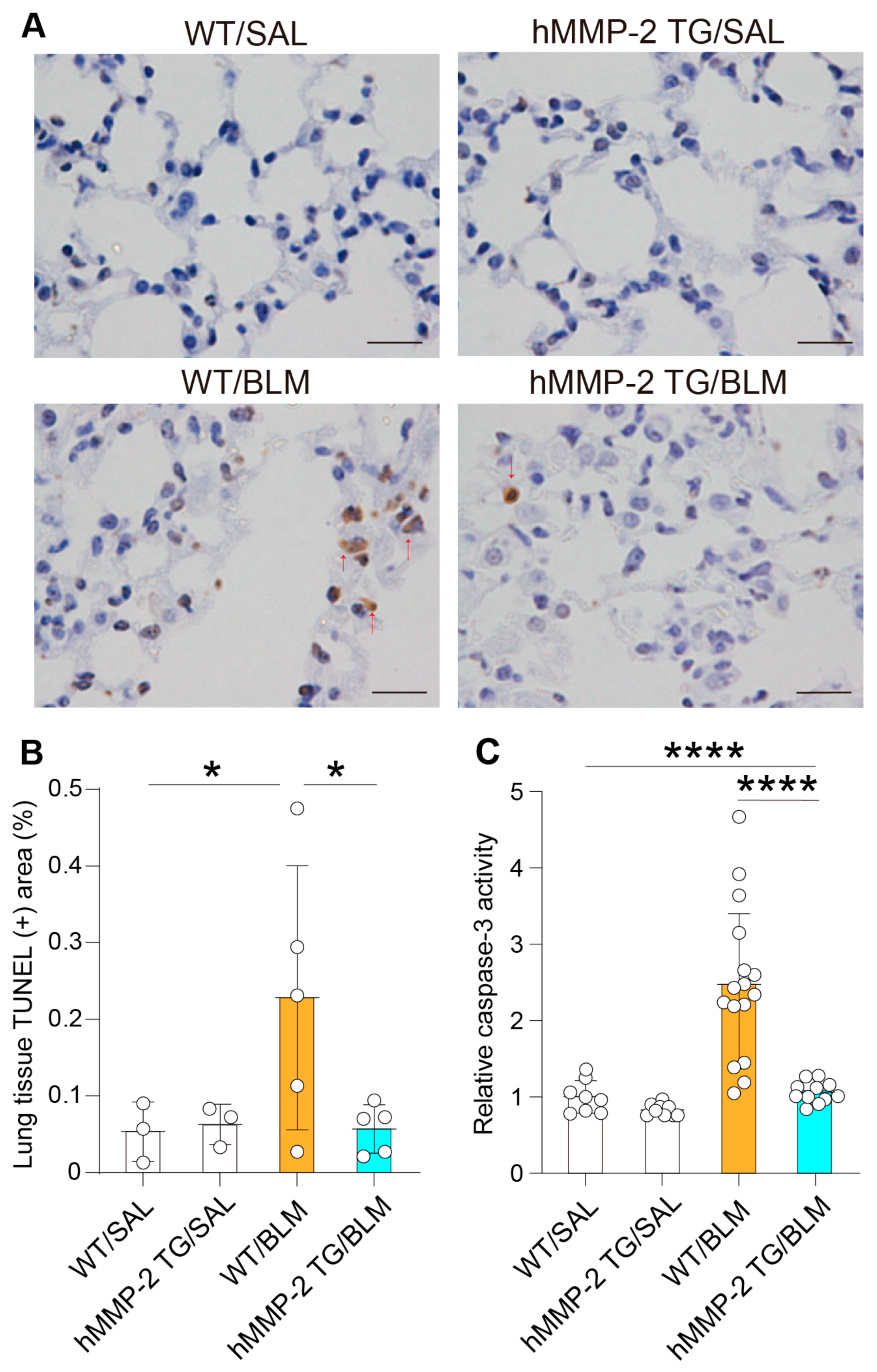 Ijms 24 06695 g008 Ijms 24 06695 g008
