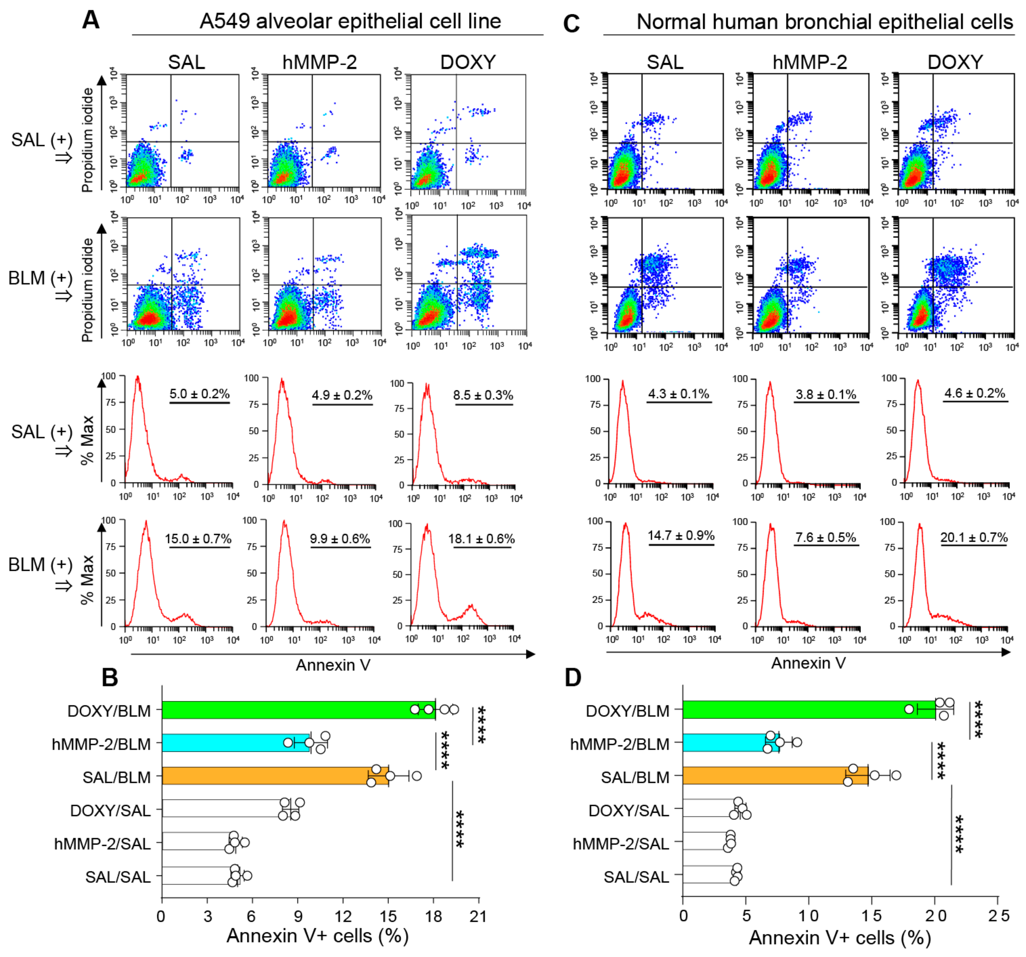 Ijms 24 06695 g009 Ijms 24 06695 g009