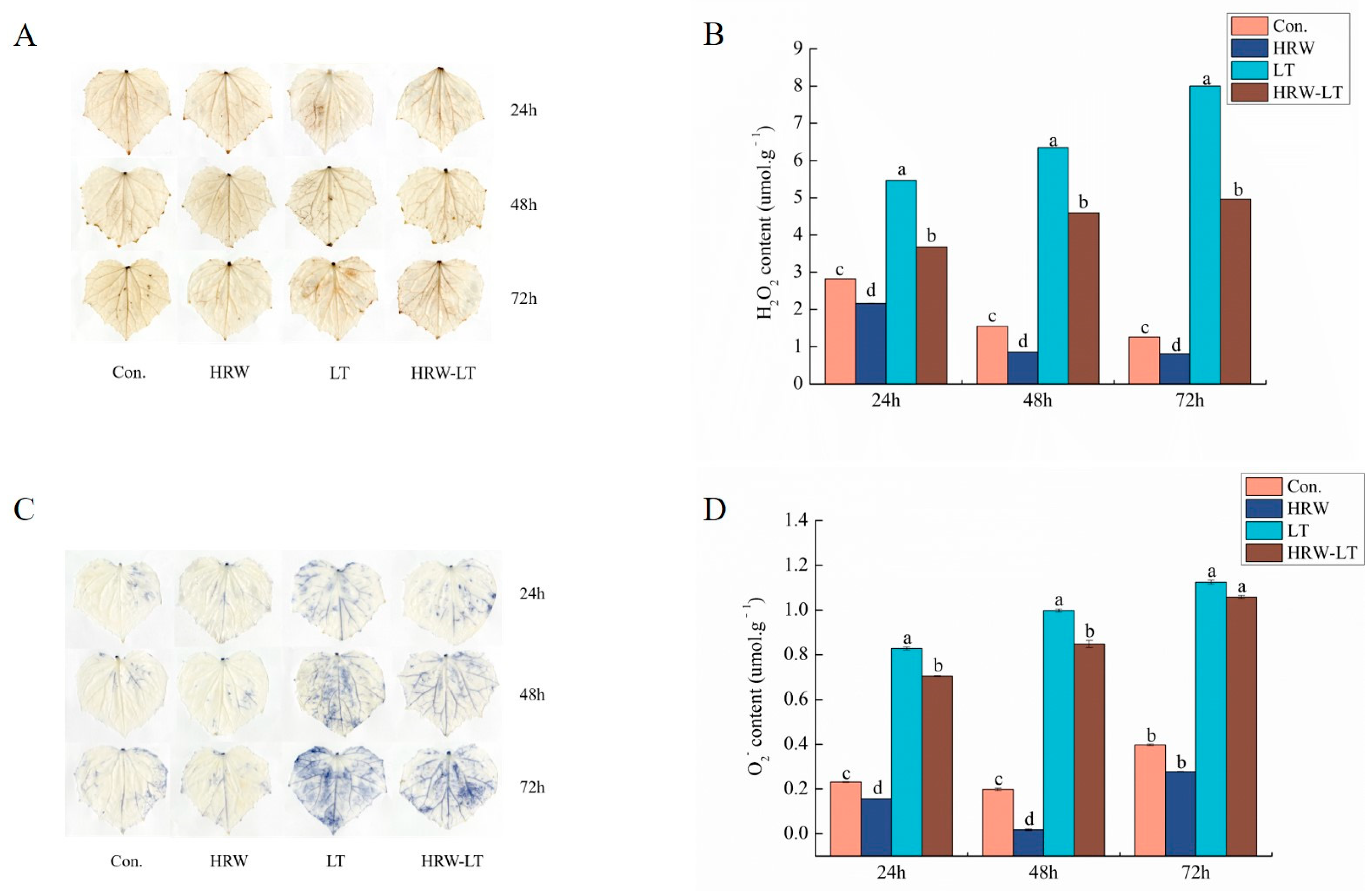 Ijms 24 06702 g009 Ijms 24 06702 g009