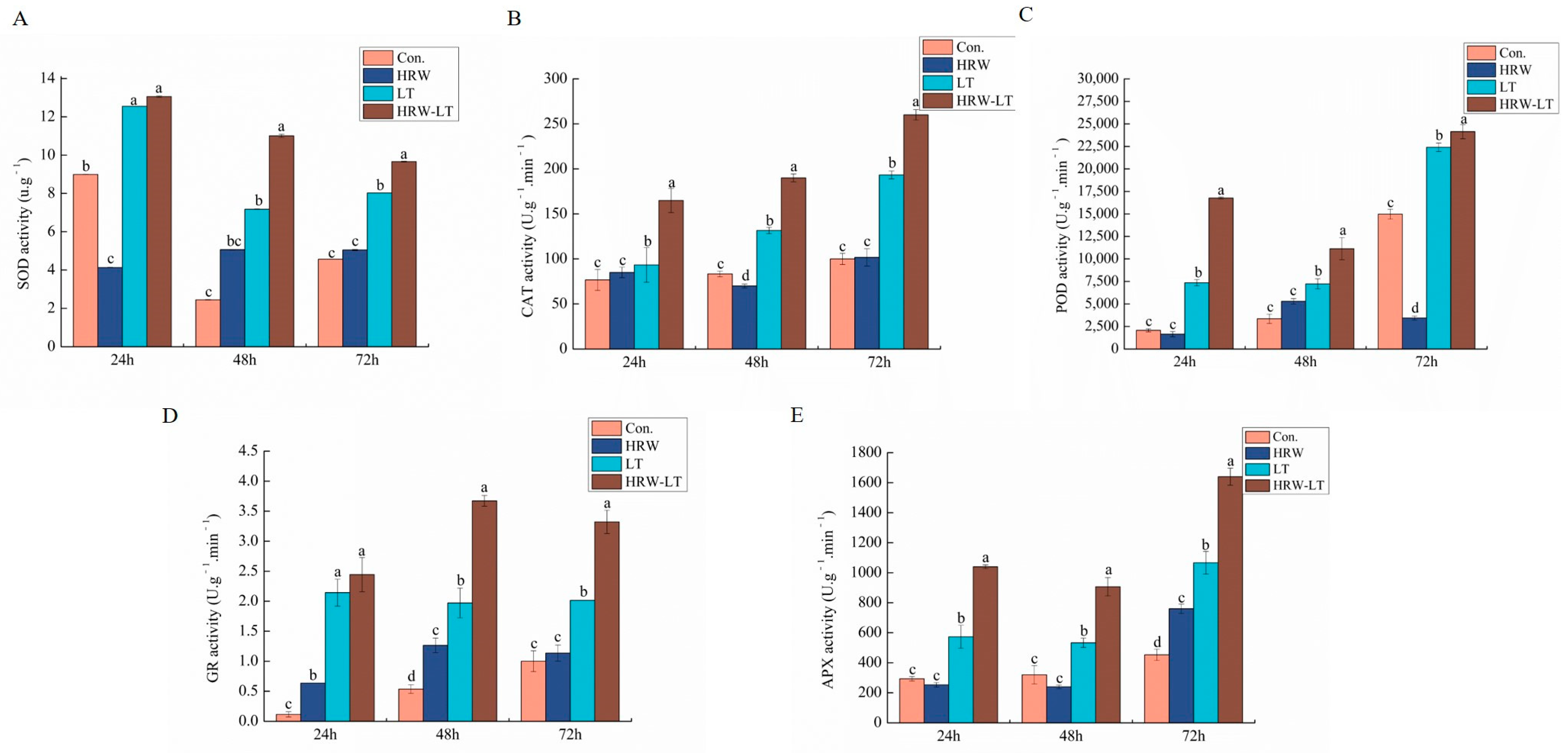 Ijms 24 06702 g010 Ijms 24 06702 g010