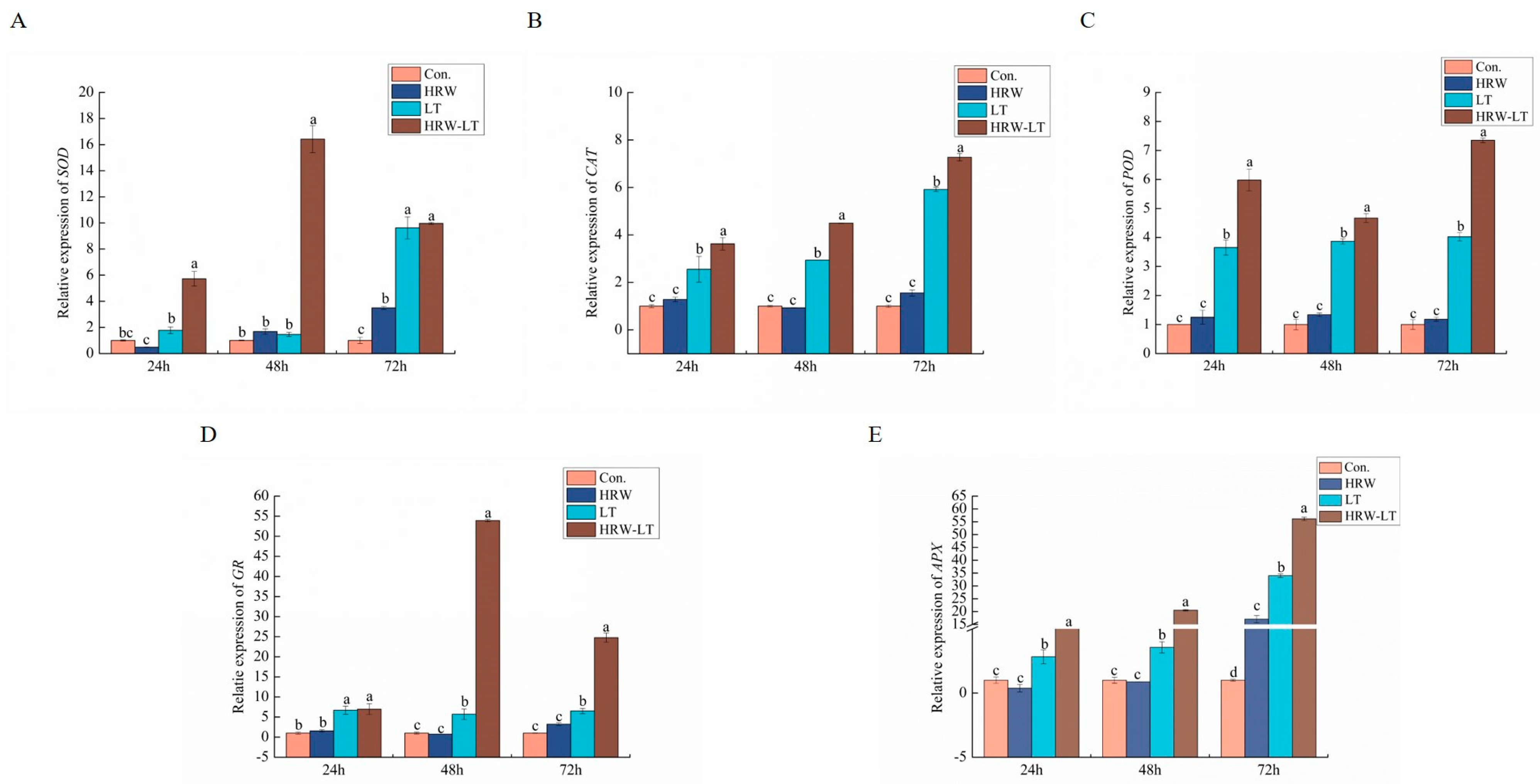 Ijms 24 06702 g012 Ijms 24 06702 g012
