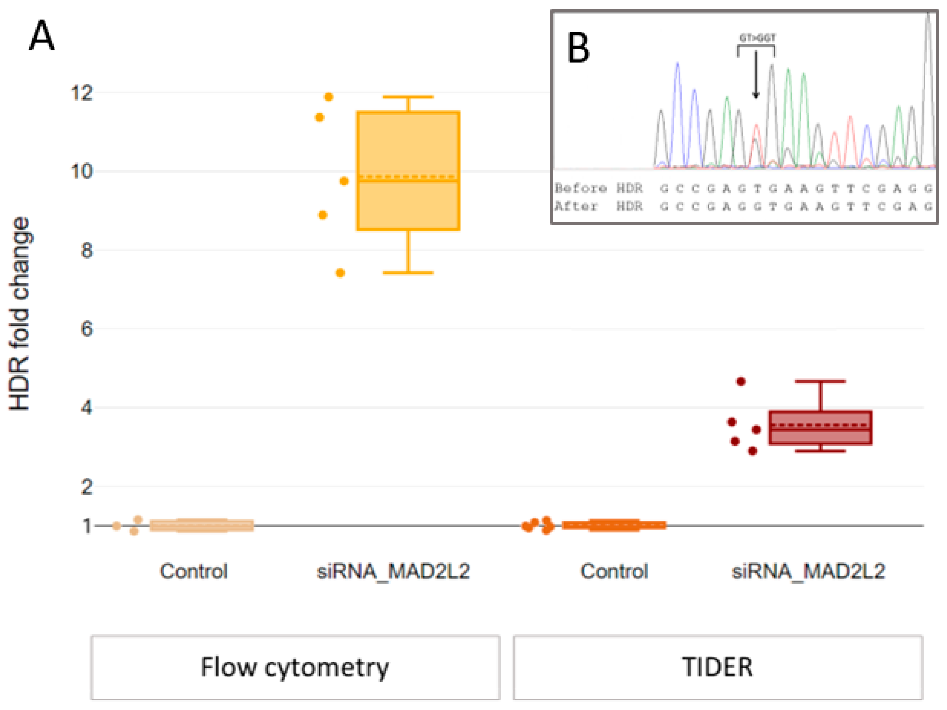 Ijms 24 06704 g002 Ijms 24 06704 g002