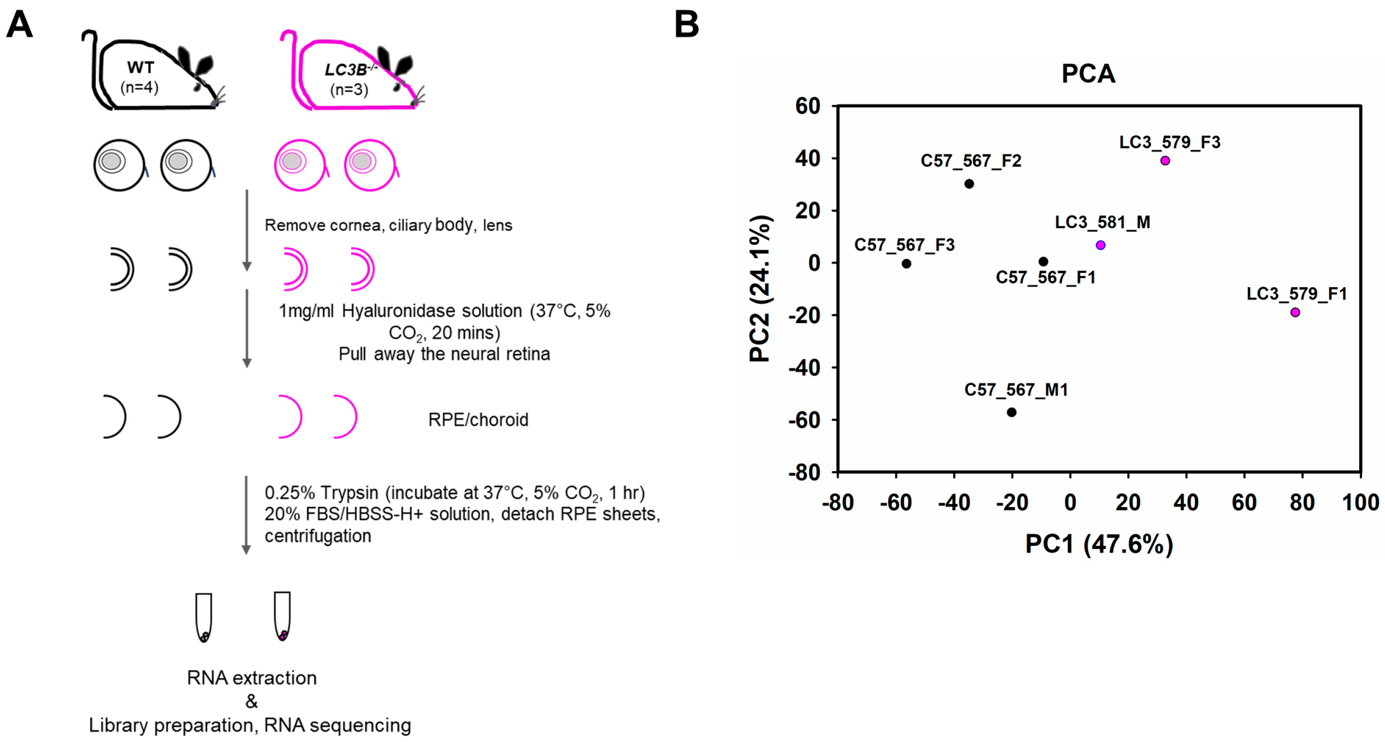 Ijms 24 06716 g001 Ijms 24 06716 g001