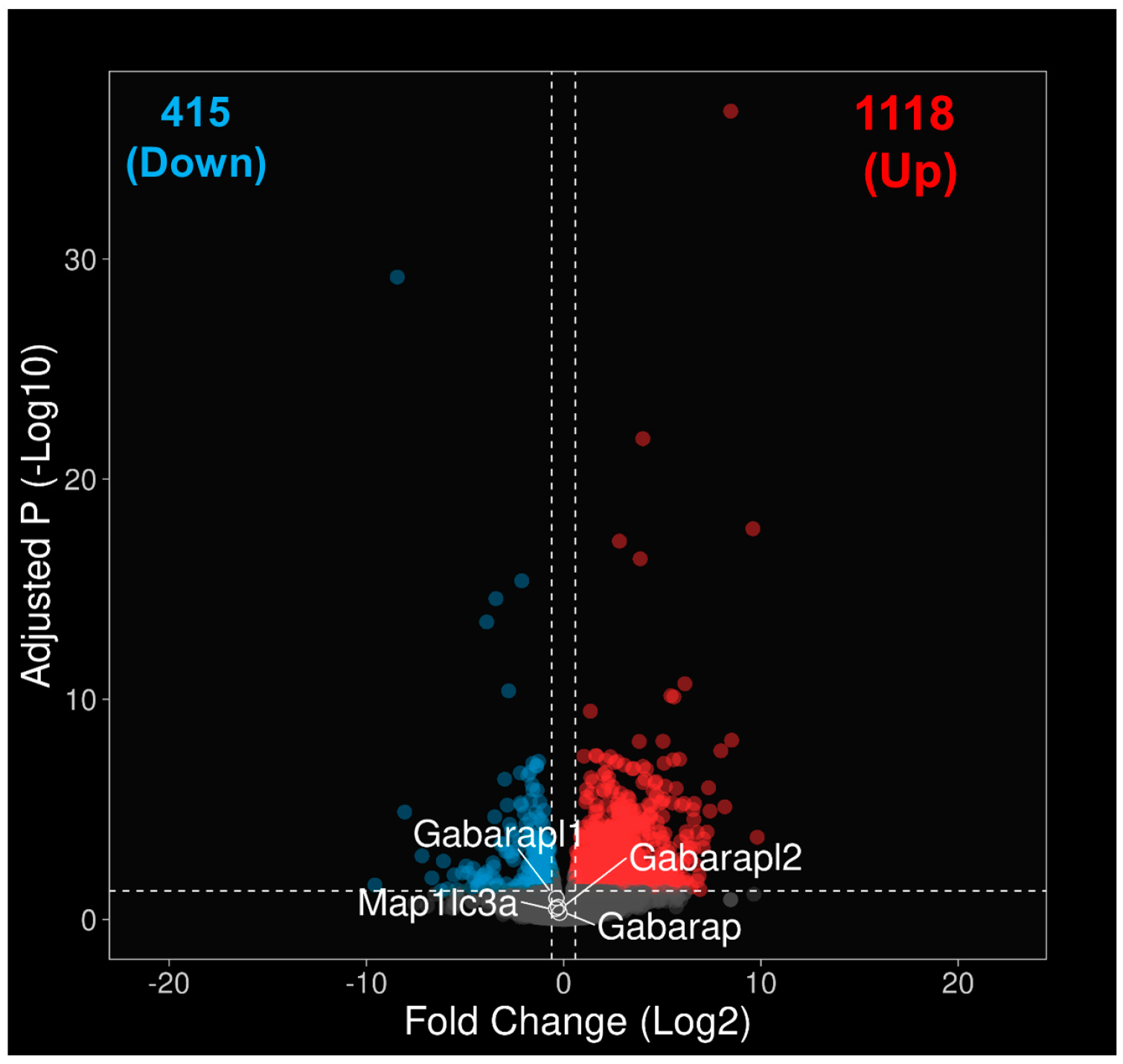 Ijms 24 06716 g002 Ijms 24 06716 g002