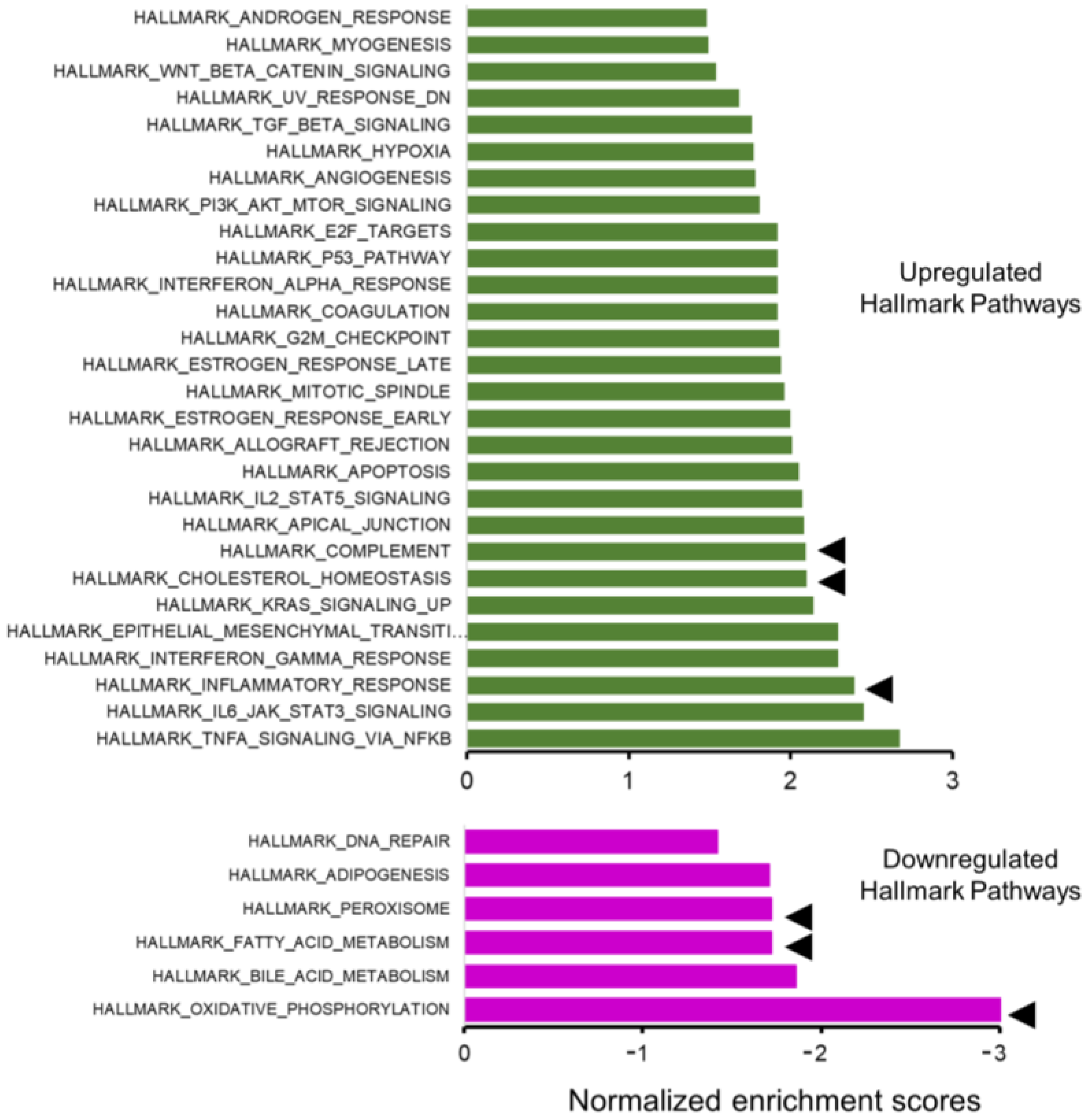 Ijms 24 06716 g004 Ijms 24 06716 g004