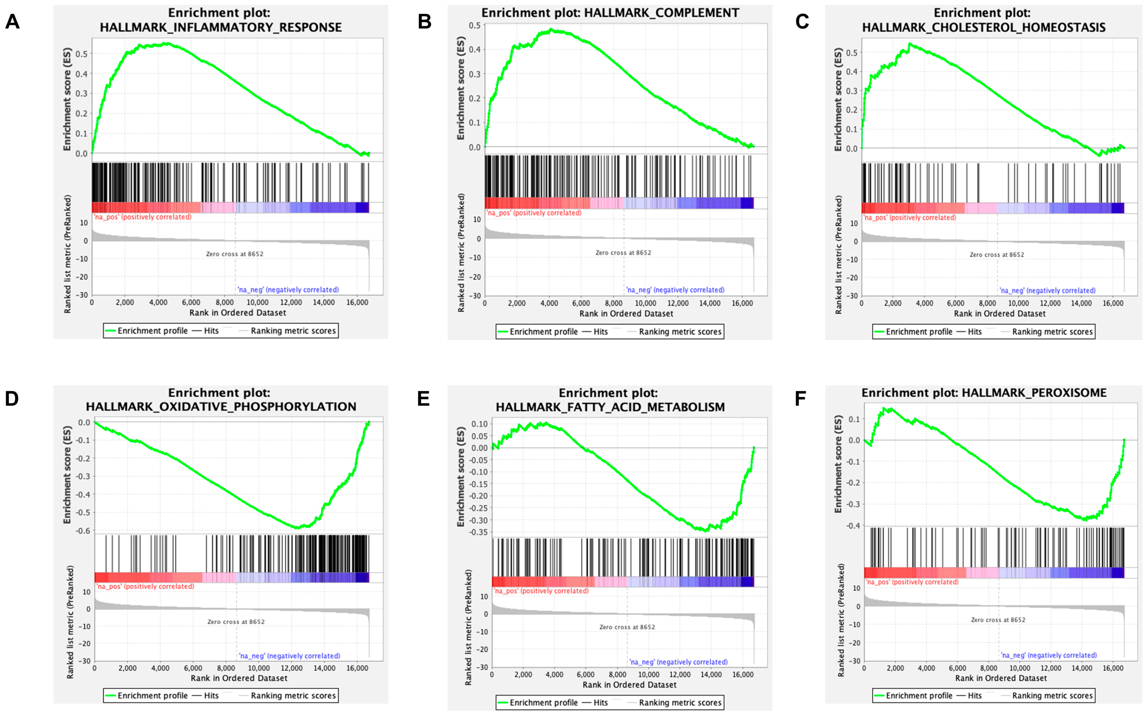 Ijms 24 06716 g005 Ijms 24 06716 g005