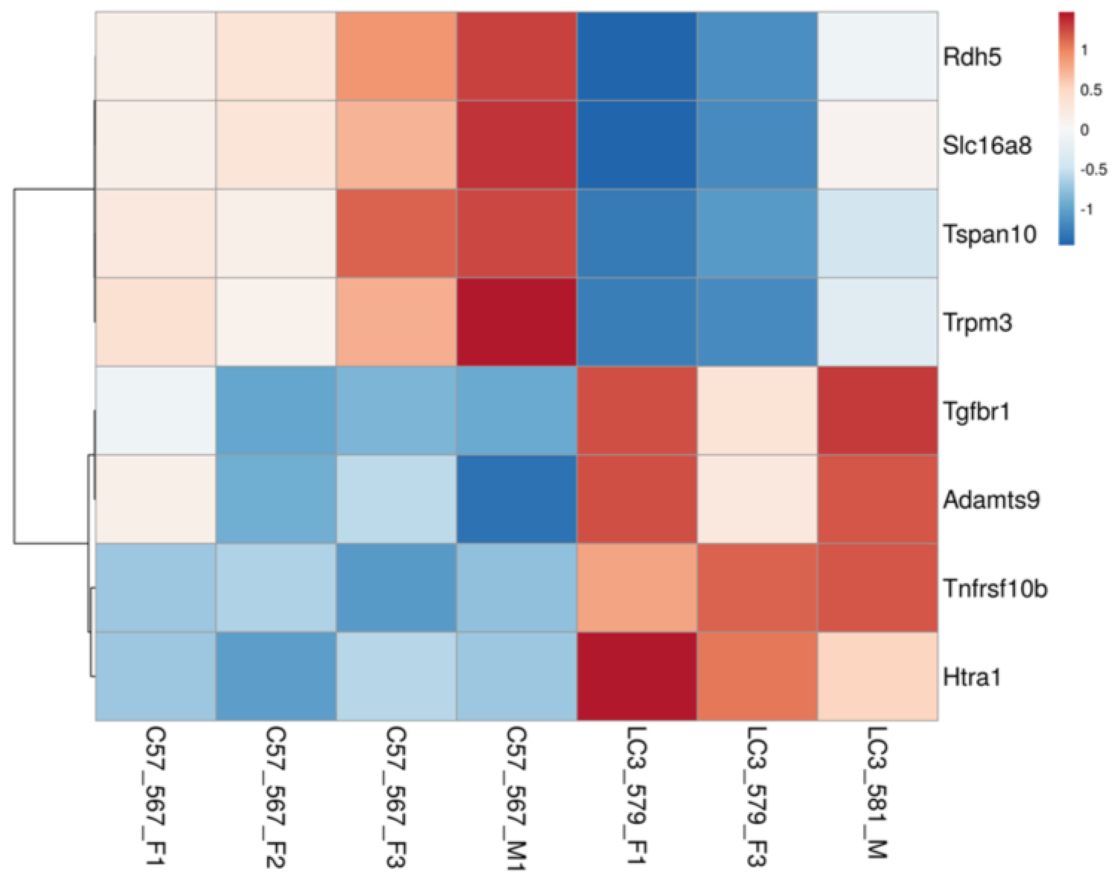 Ijms 24 06716 g008 Ijms 24 06716 g008