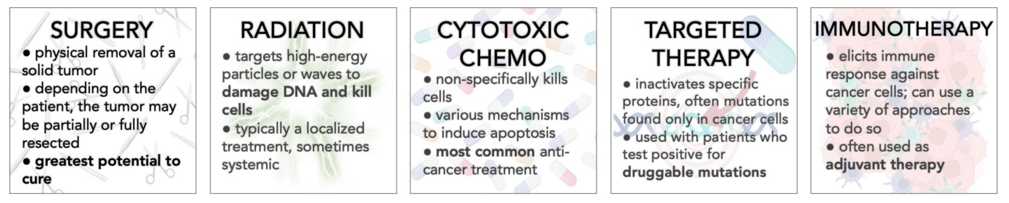 Ijms 24 06738 g001 Ijms 24 06738 g001