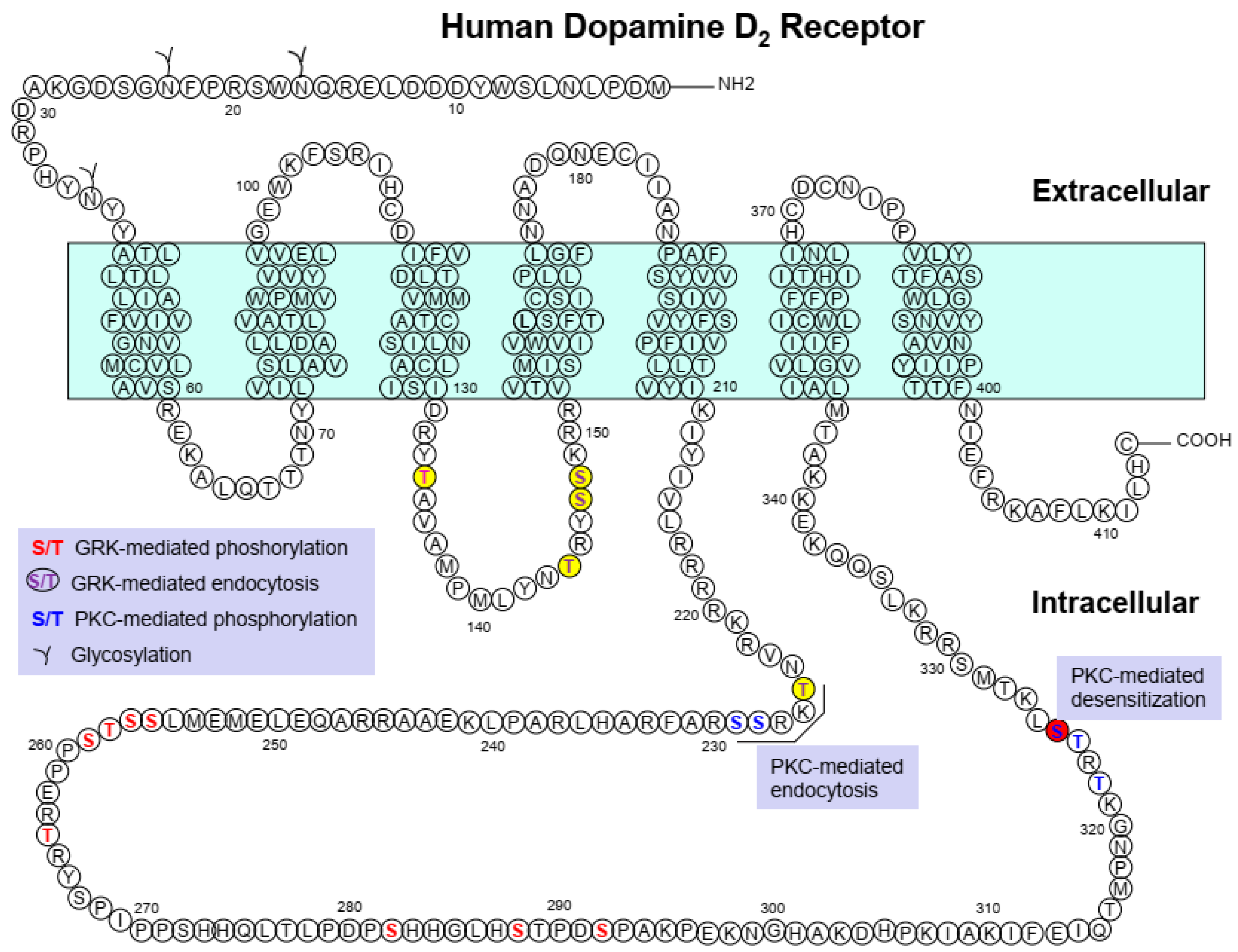 Ijms 24 06742 g001 Ijms 24 06742 g001