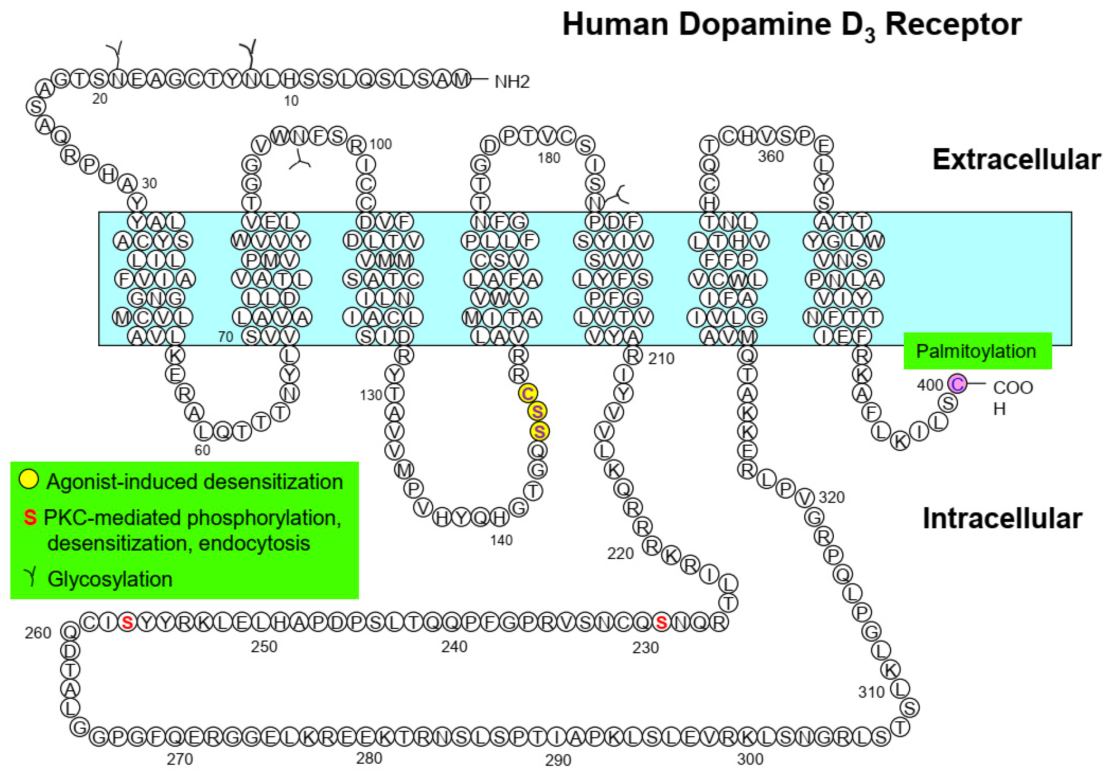 Ijms 24 06742 g002 Ijms 24 06742 g002